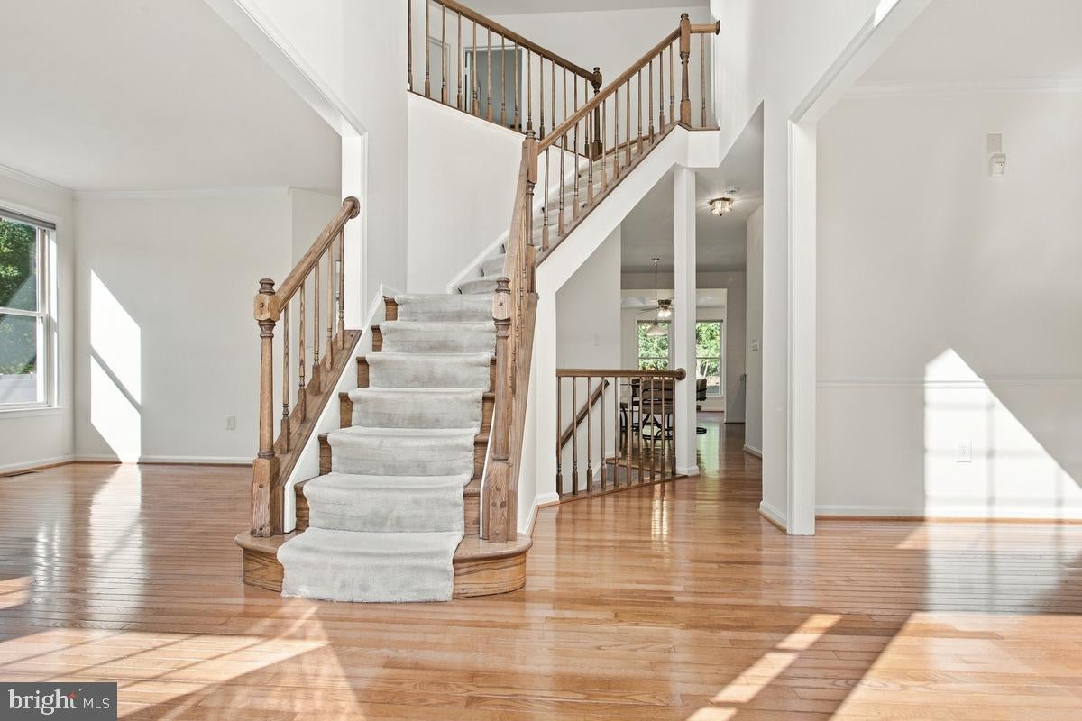 14510 DOLBROOK LANE