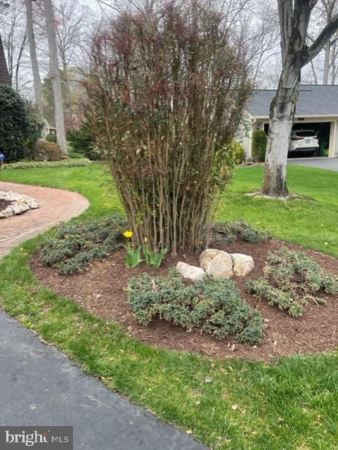 LAKE RIDGE/PROMONTRY OAK - Residential