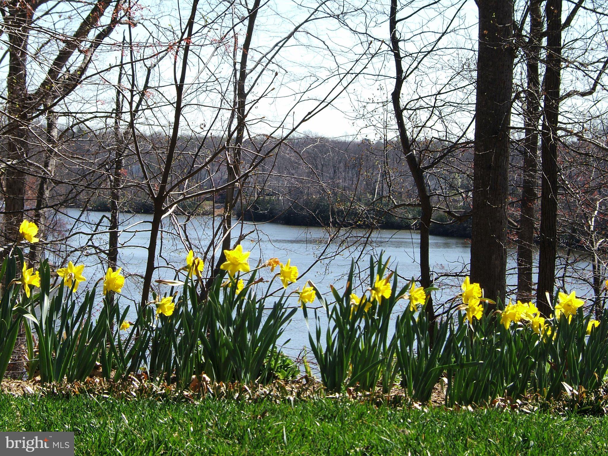 LAKE RIDGE/PROMONTRY OAK - Residential