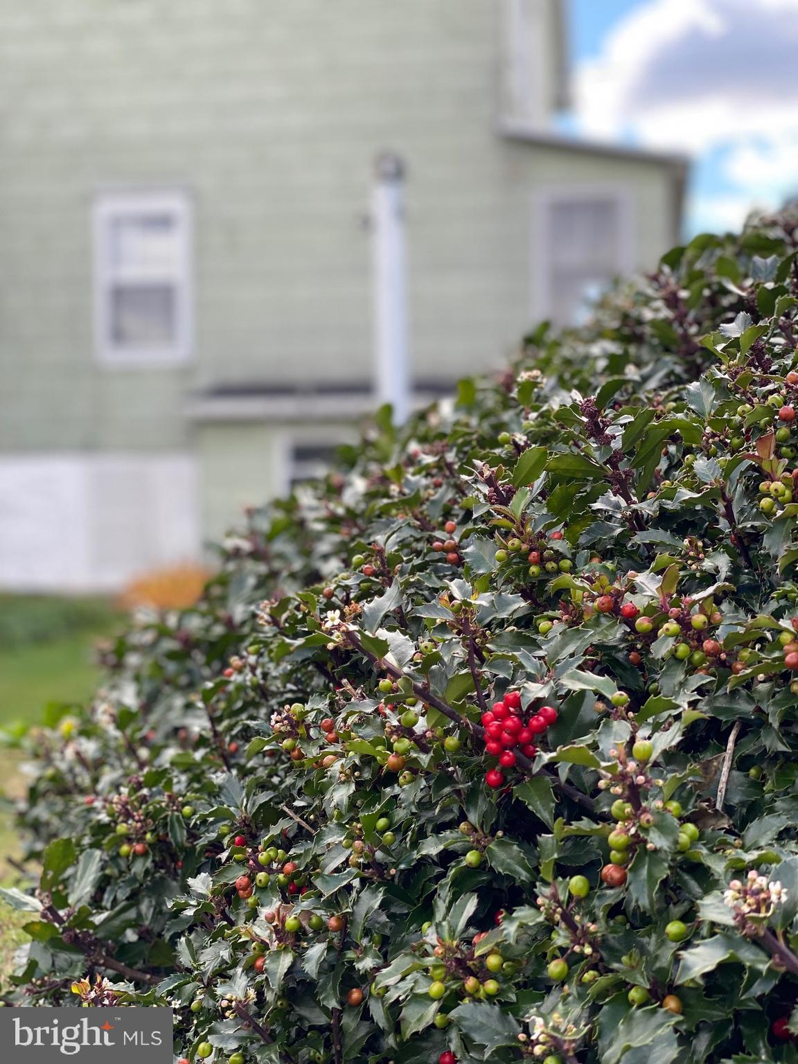 Z- NOT IN DEVELOPMEN - Residential