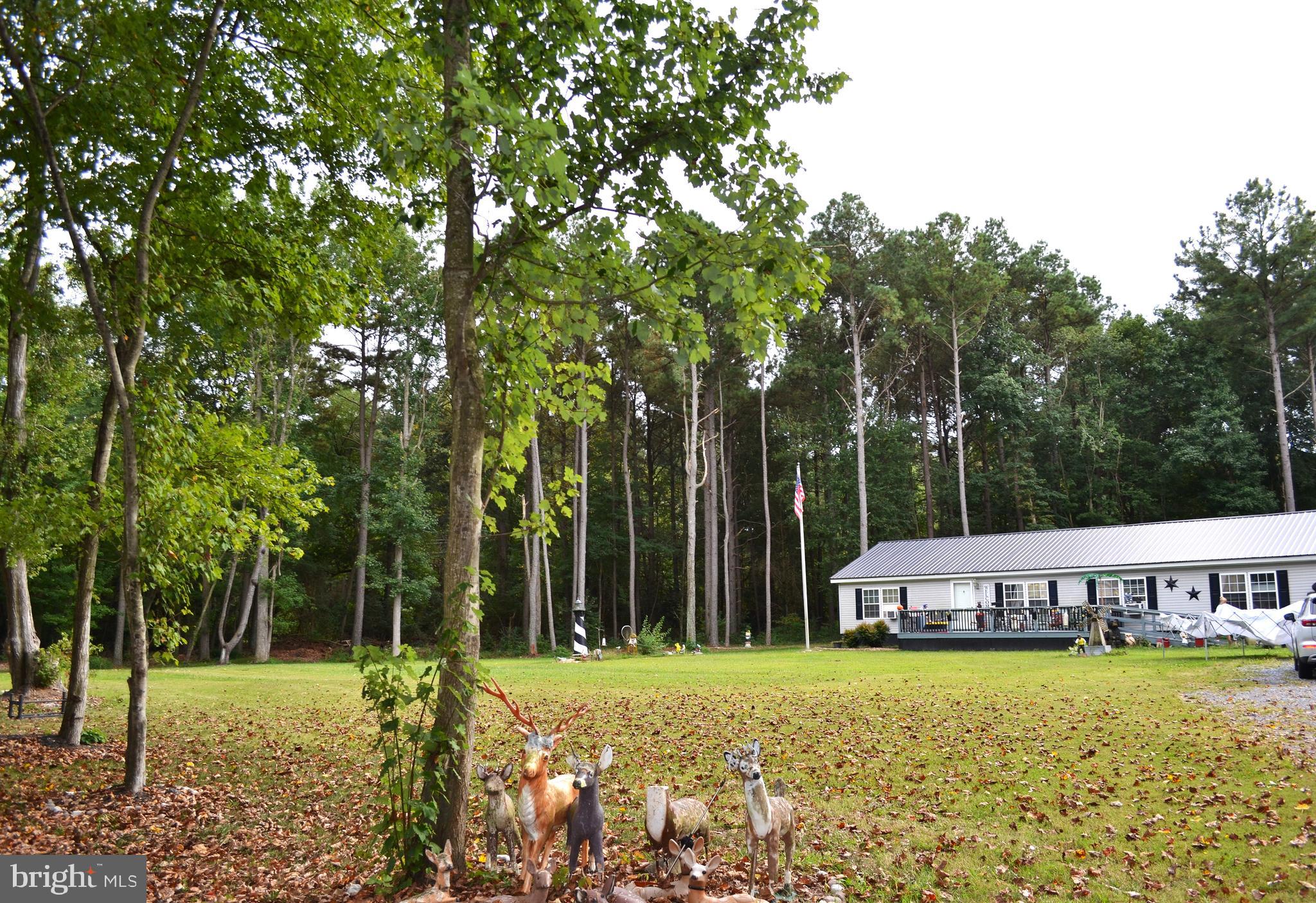 81 PRITCHETT ROAD