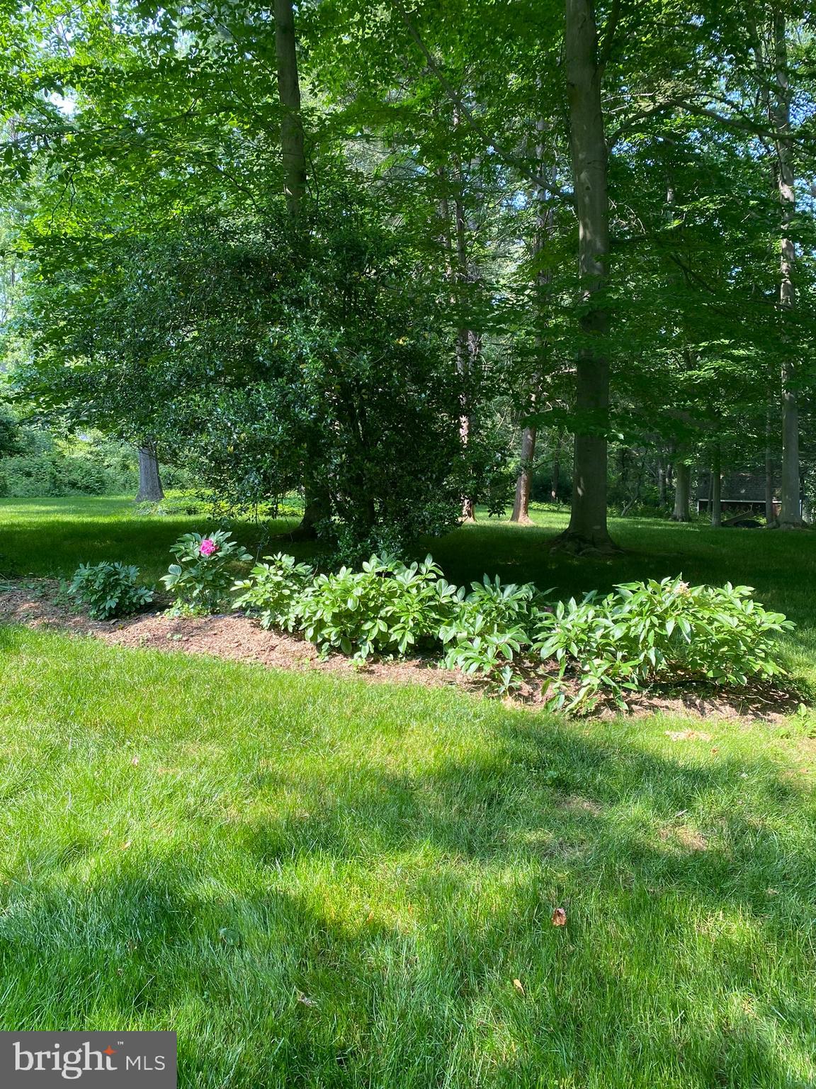 POTOMAC HIGHLANDS - Residential