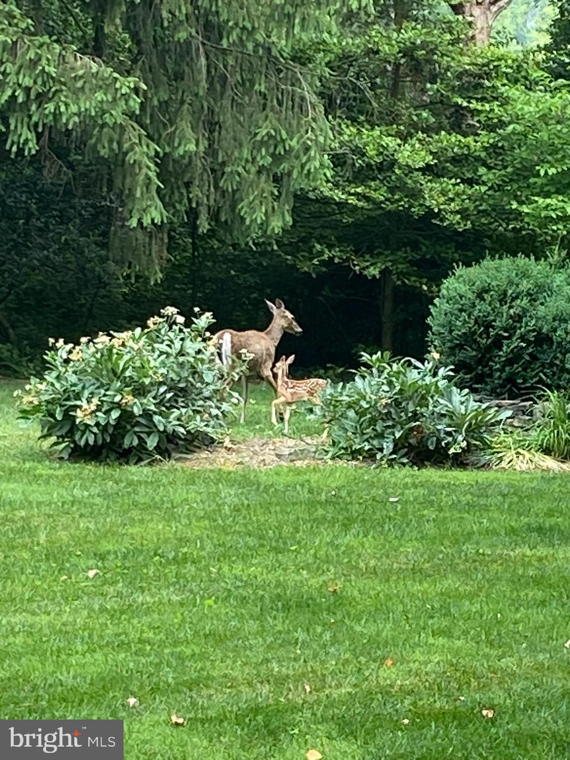 POTOMAC HIGHLANDS - Residential