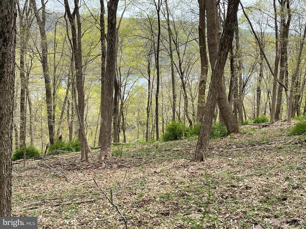 Photo of 421 River Road, PIPERSVILLE, PA 18947 (MLS # PABU2046428)