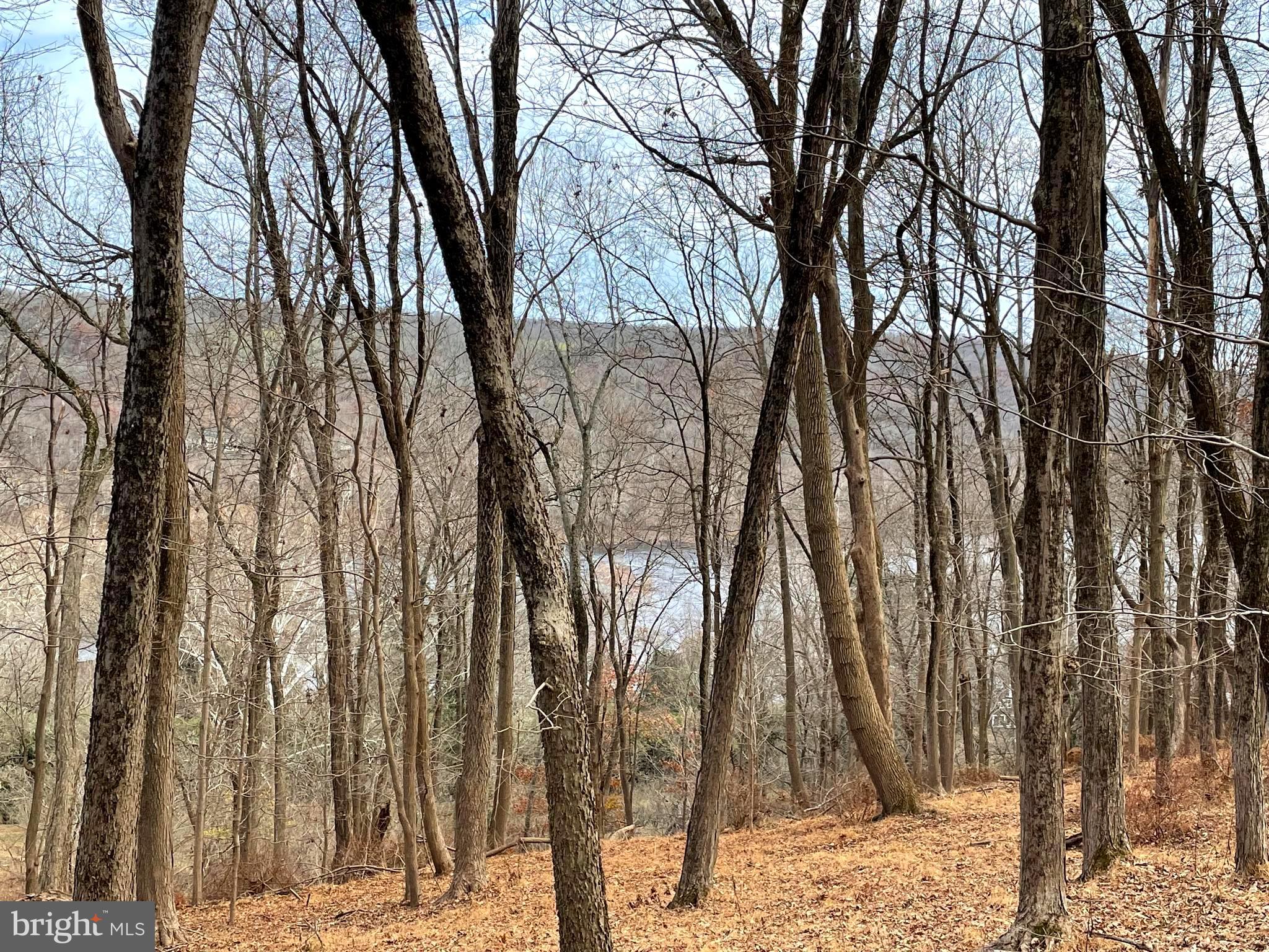 421 RIVER ROAD