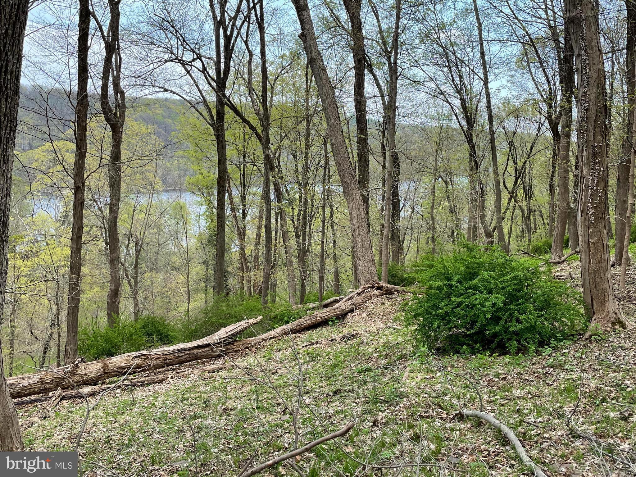 Here’s your opportunity to own your perch above the Delaware along scenic River Road in Bucks County! Locations overlooking the river rarely come along and this 16+ acre wooded lot will provide wonderful winter/spring river views. Located in a community that prides itself on protecting the scenic nature of the area with well over 5,000 acres of conserved land, there is a Conservation Easement on the property that allows for one residential structure to be built on 1.5 acres of land within a 3-acre designated area. It is also protected from neighboring development by a conserved bordering property. Septic site has been identified and perced. The property is currently Act 319 with the yearly taxes of $203. Just 10 minutes to Frenchtown NJ, 20 minutes to New Hope and Doylestown, one hour to Philadelphia and 90 minutes to NYC. (DO NOT ENTER PROPERTY WITHOUT AN APPOINTMENT.)
