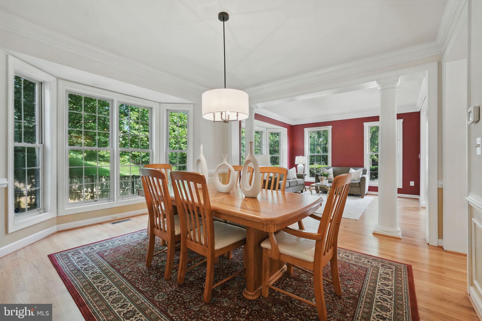 TYSONS EXECUTIVE VILLAGE - Residential