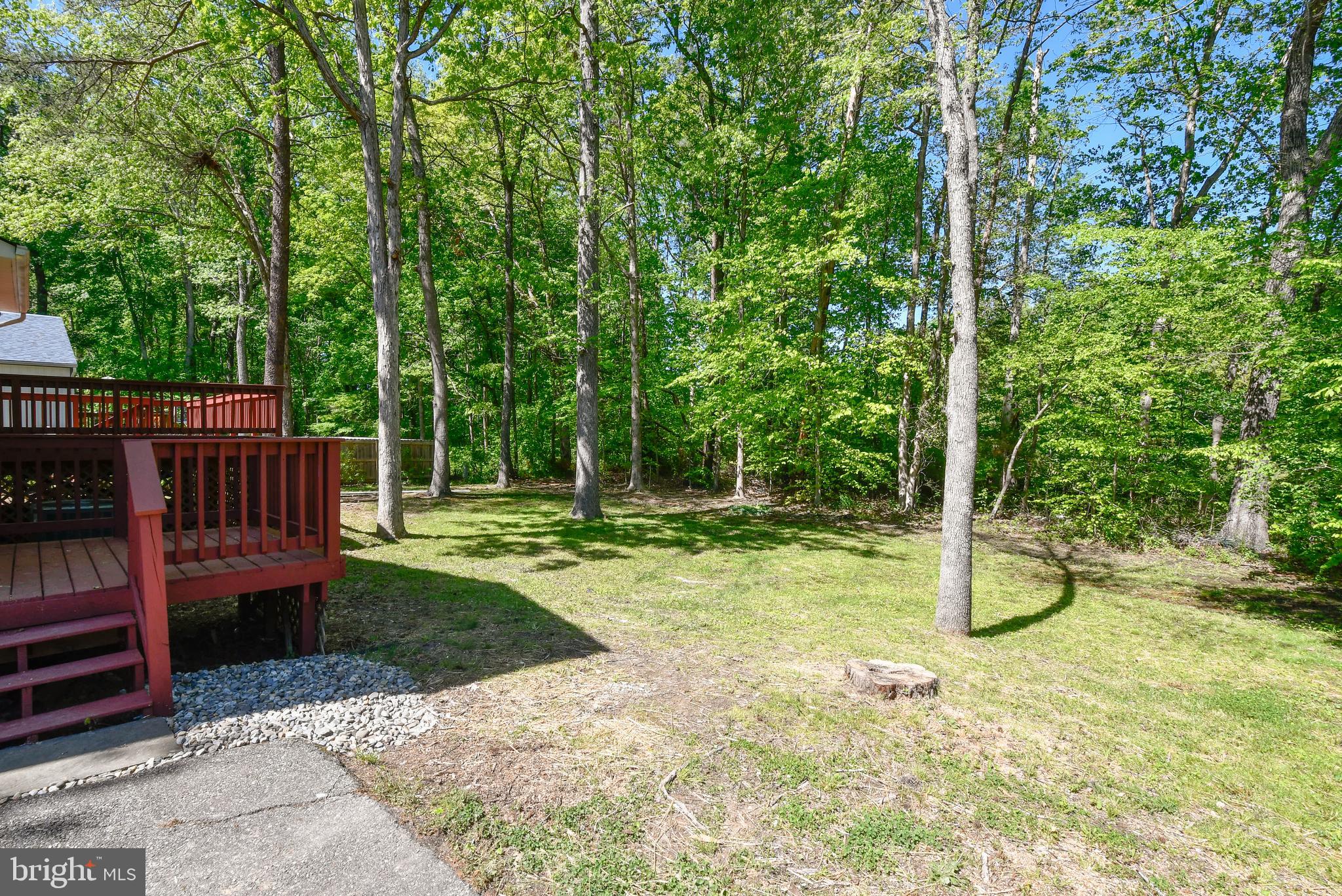 PLANTATION FOREST - Residential