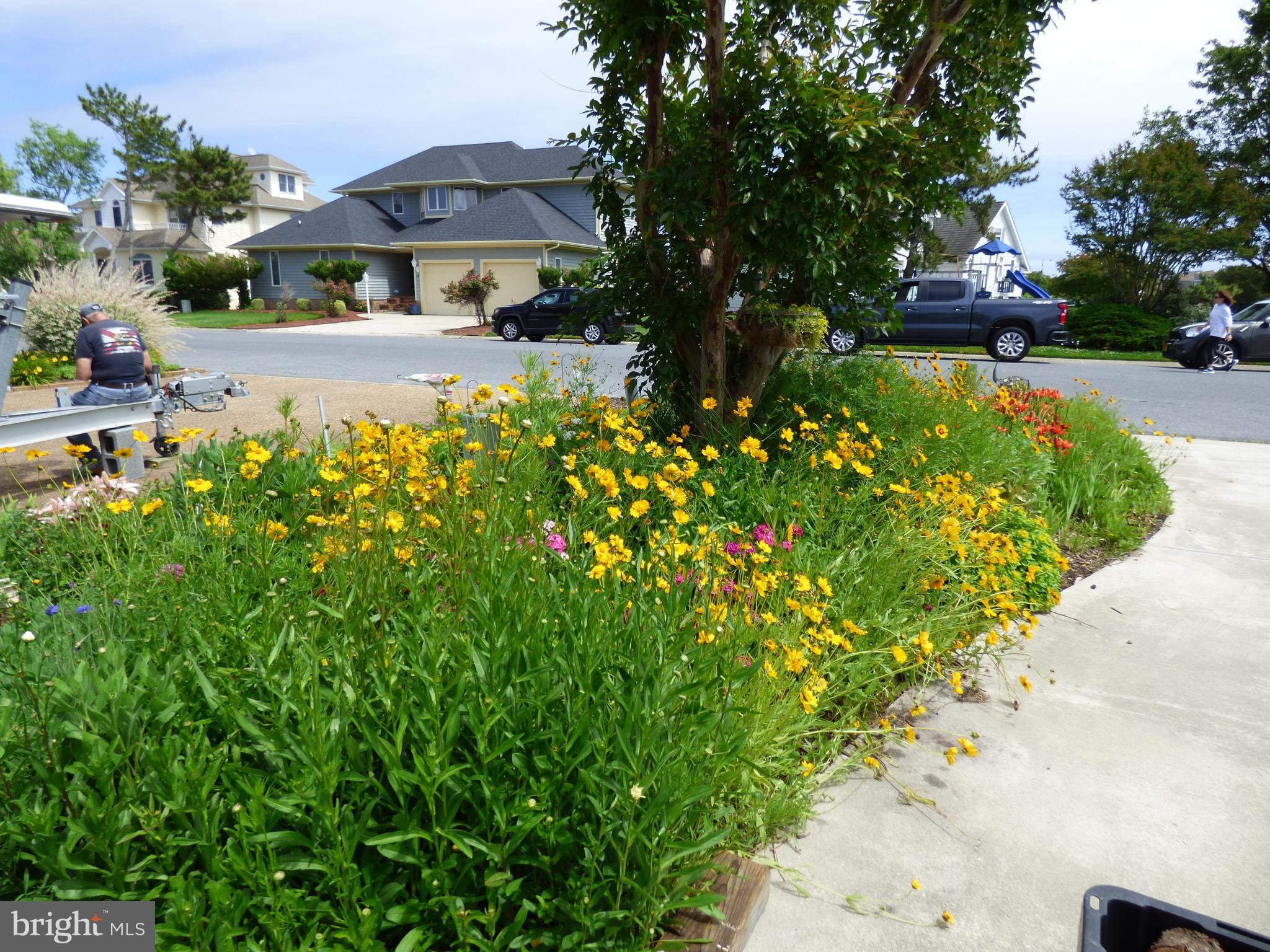 OCEAN PINES - TERNS LANDING - Residential