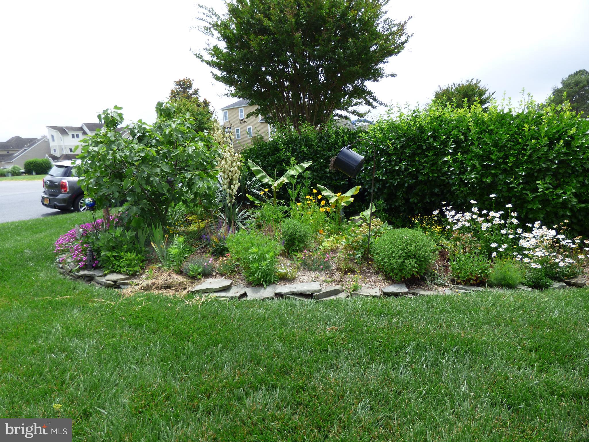 OCEAN PINES - TERNS LANDING - Residential