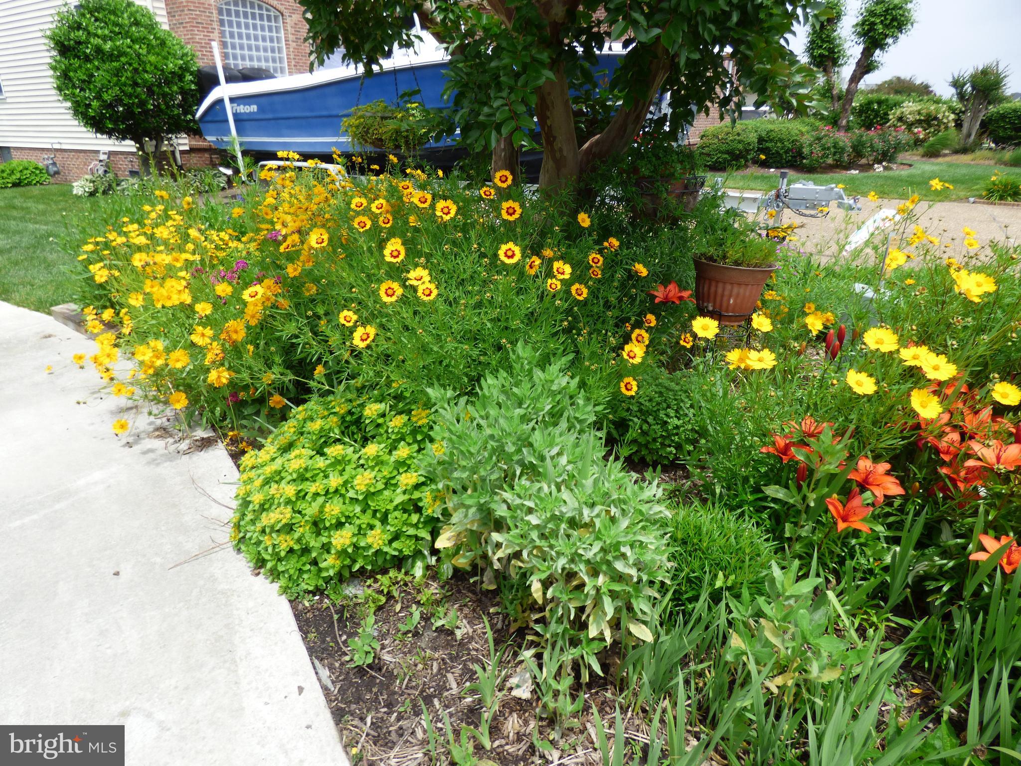 OCEAN PINES - TERNS LANDING - Residential