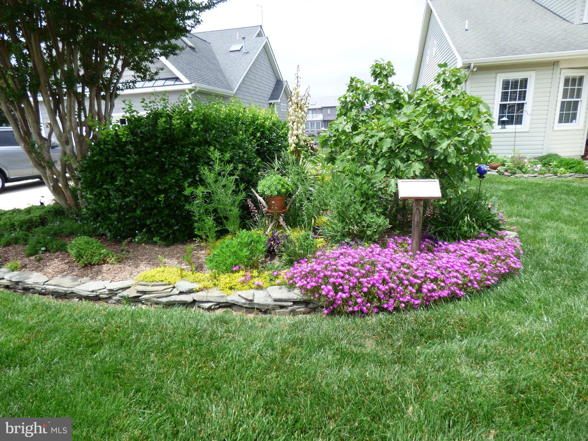 OCEAN PINES - TERNS LANDING - Residential