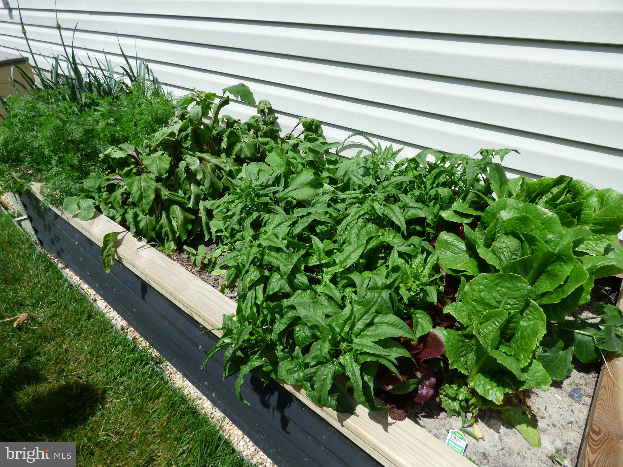 OCEAN PINES - TERNS LANDING - Residential