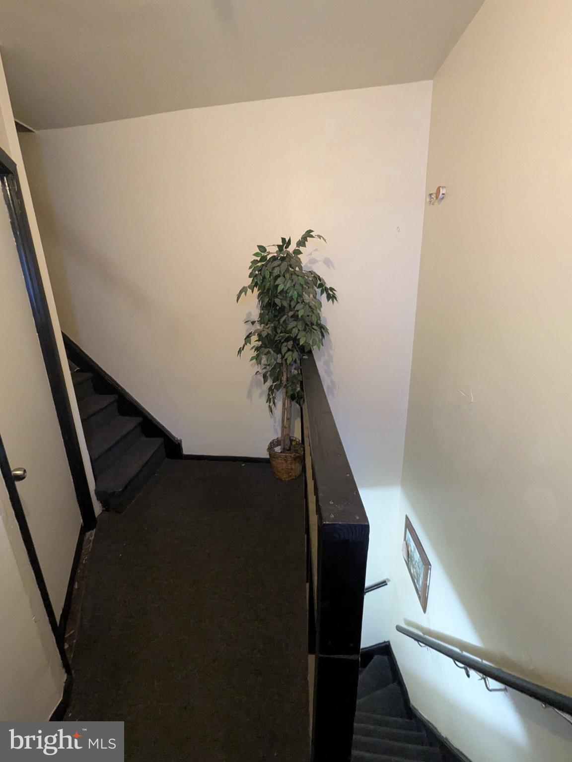 3214 FRANKFORD AVENUE 16