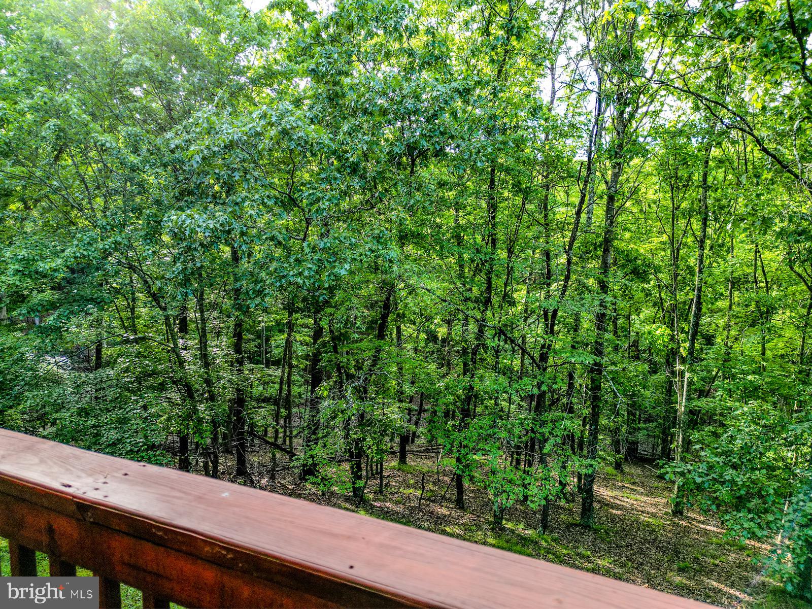 CEDAR RUN - Residential