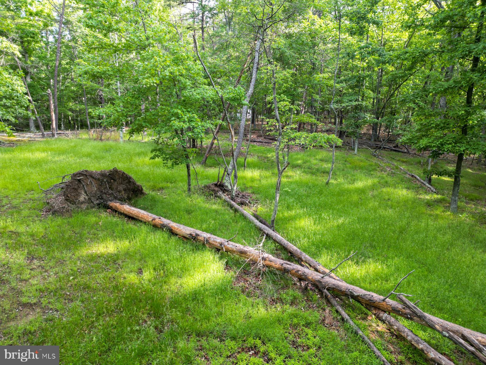 CEDAR RUN - Residential