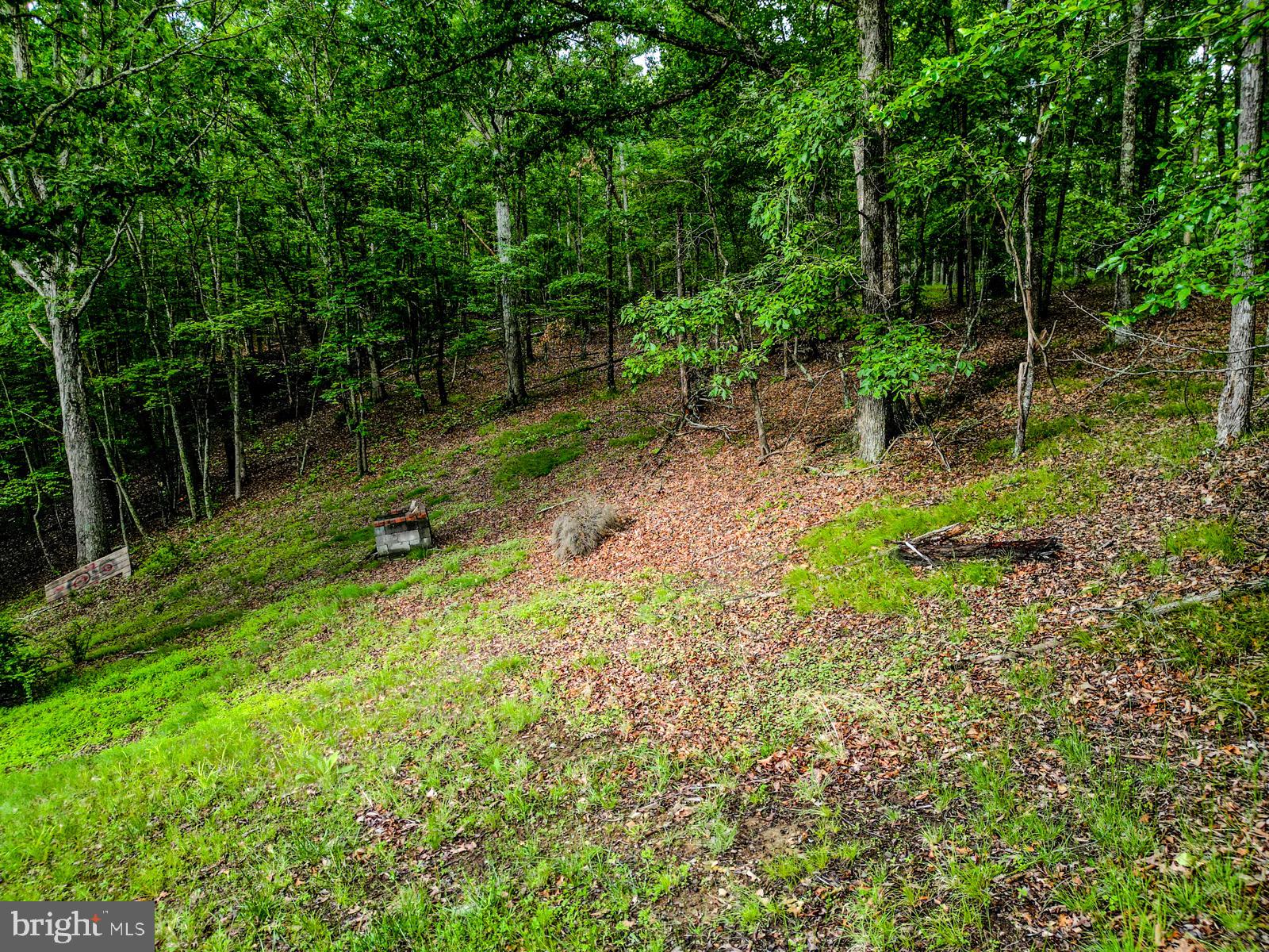 CEDAR RUN - Residential