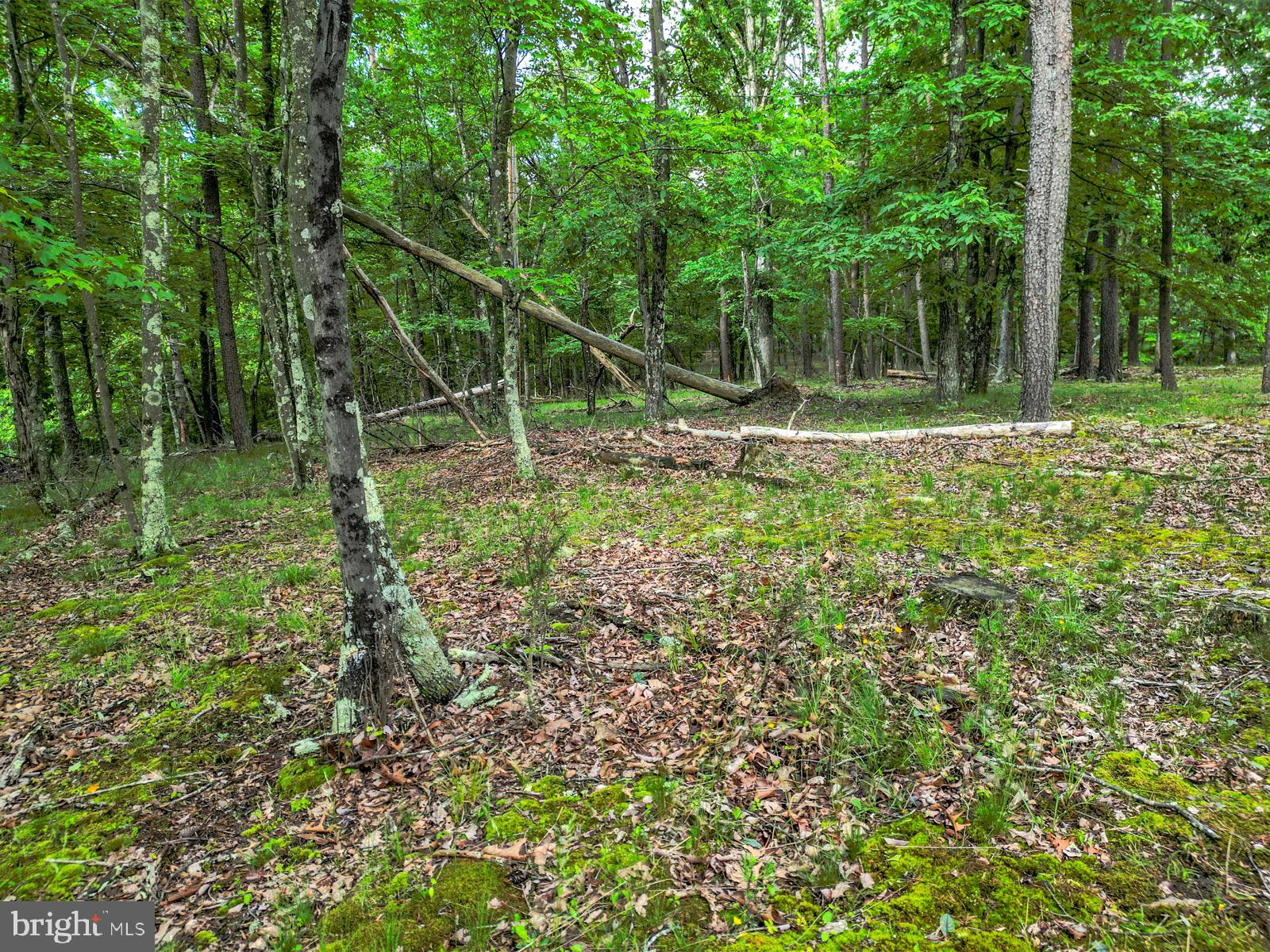 CEDAR RUN - Residential