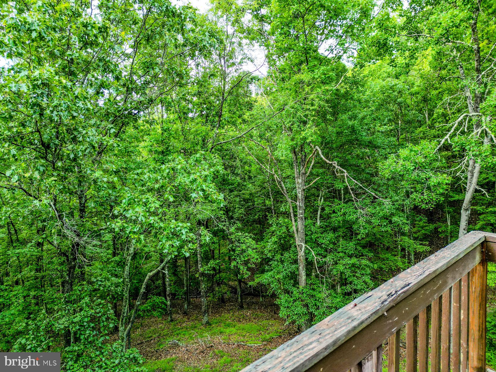 CEDAR RUN - Residential