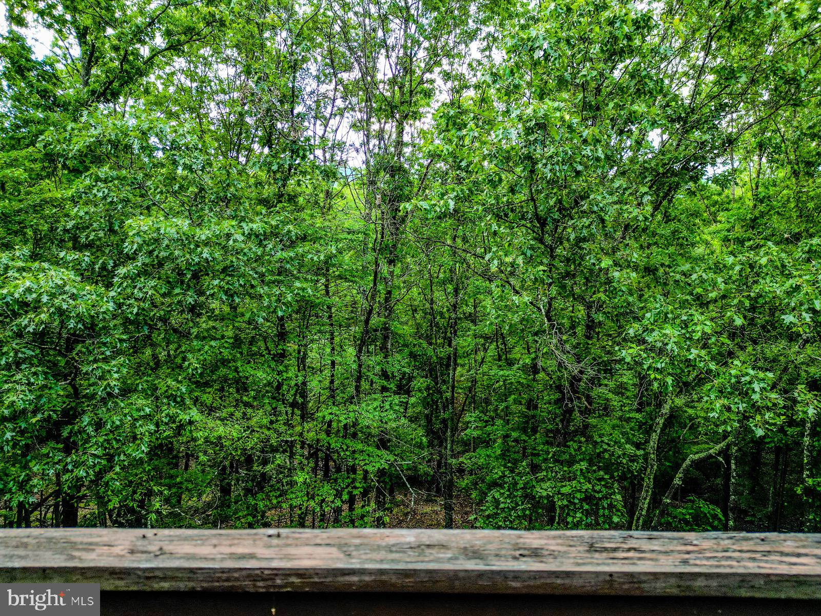 CEDAR RUN - Residential