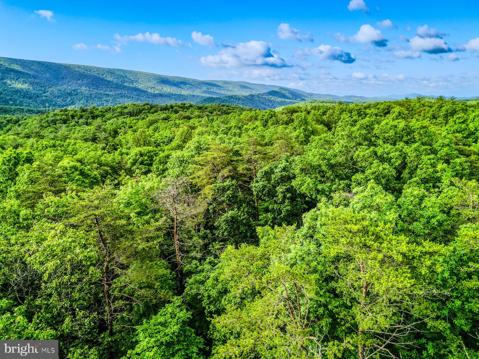 CEDAR RUN - Residential