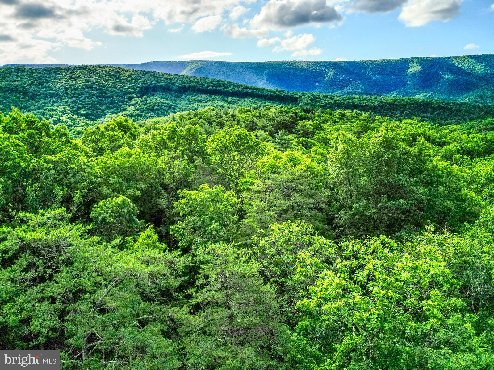 CEDAR RUN - Residential