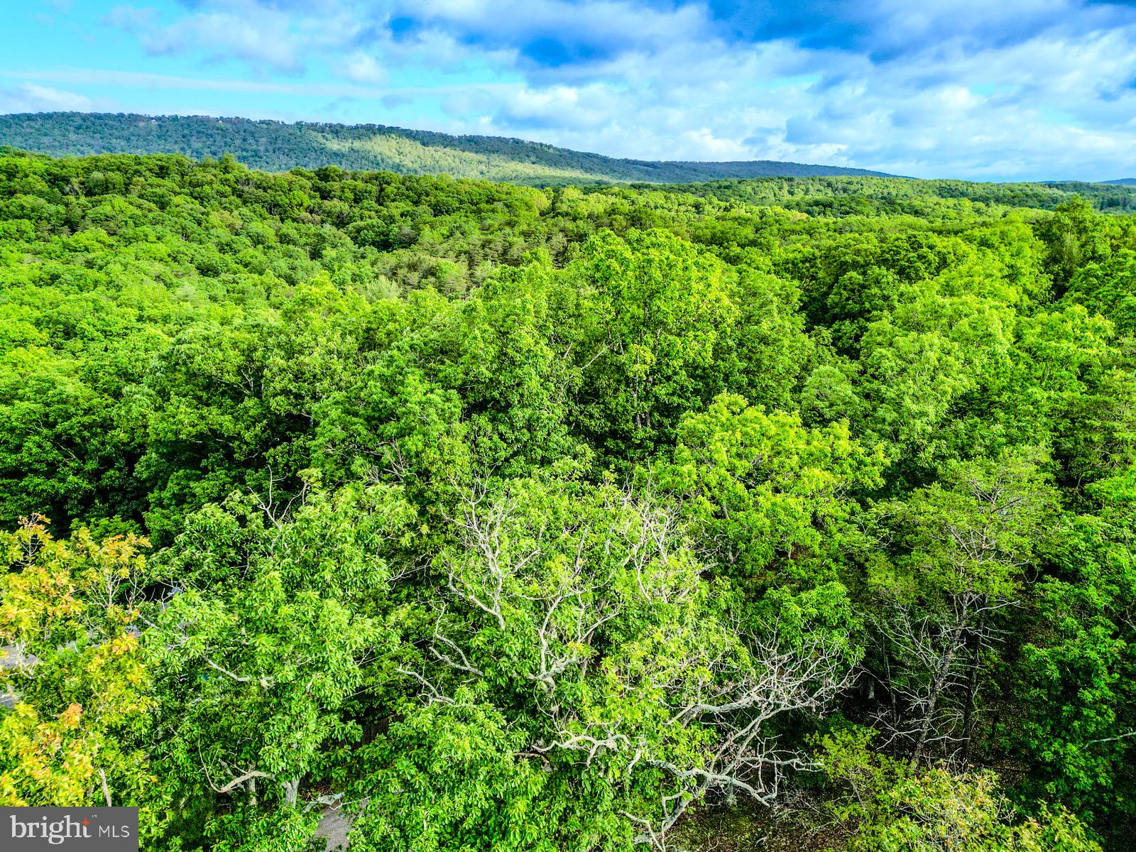 CEDAR RUN - Residential
