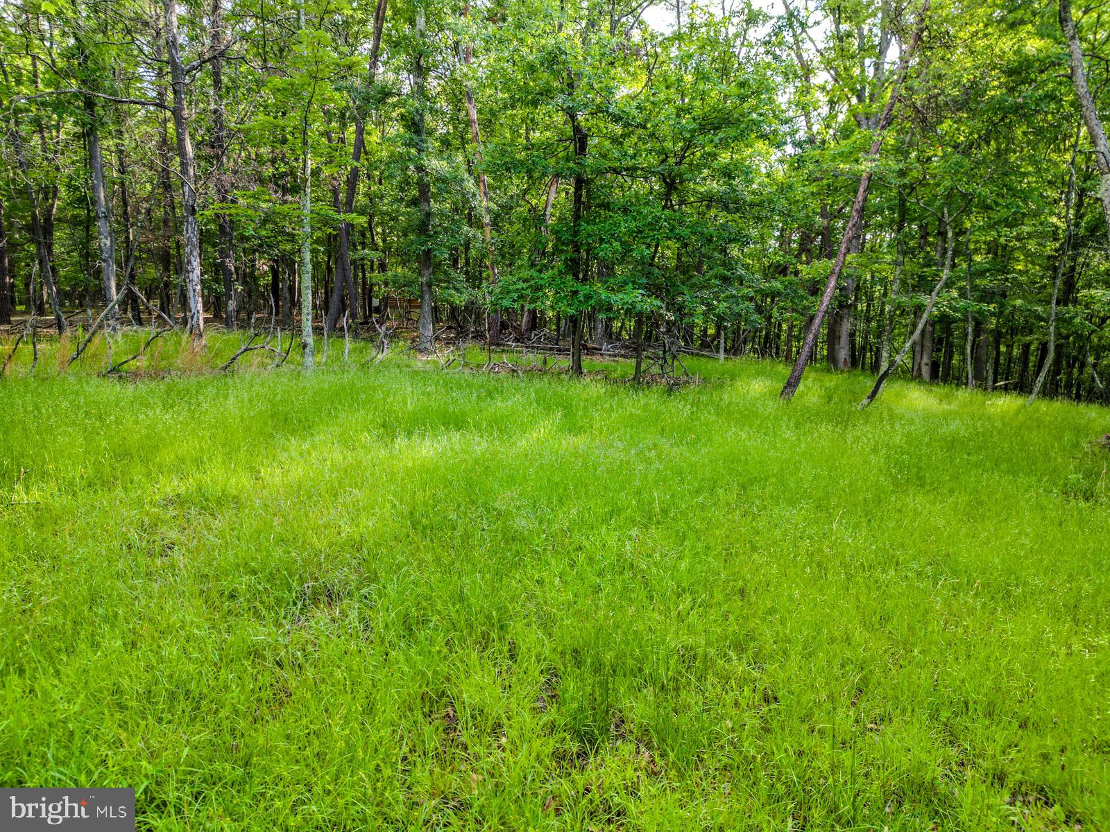 CEDAR RUN - Residential