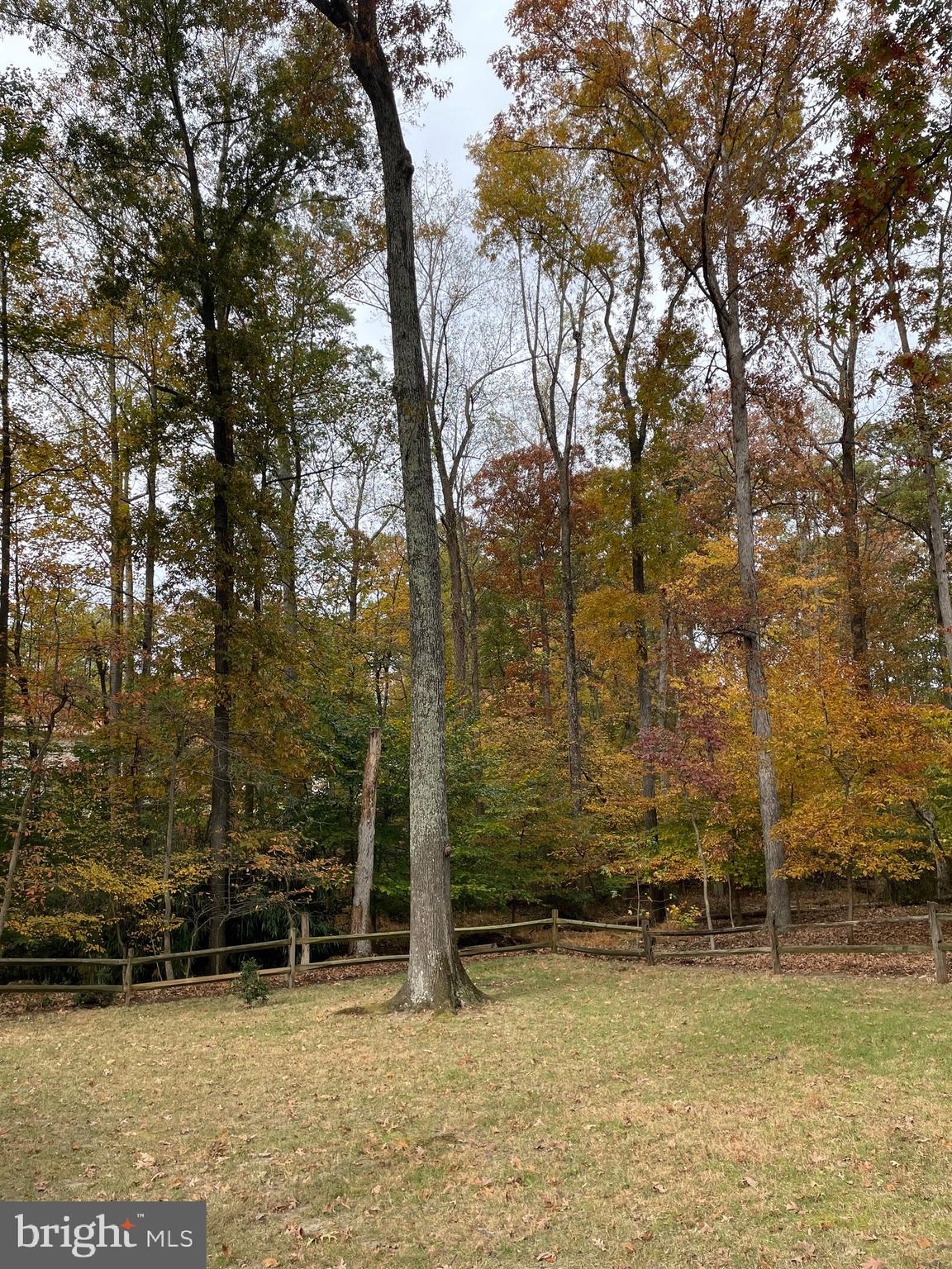 12060 WILLOWOOD DRIVE