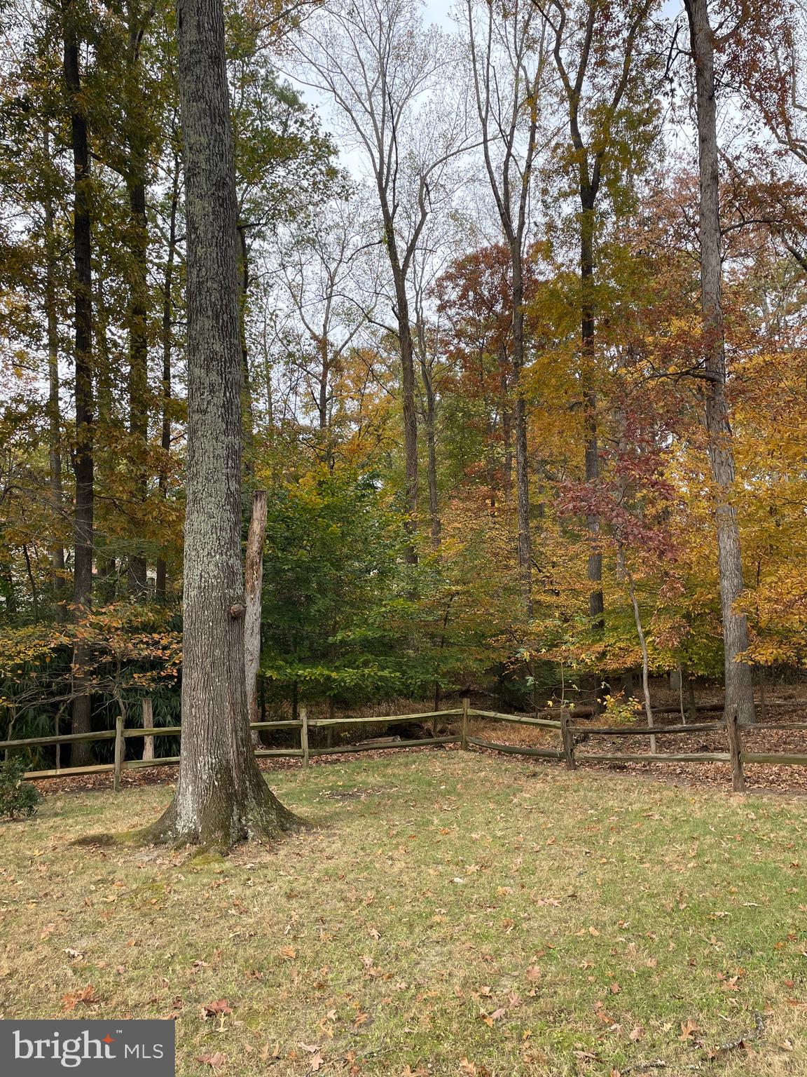 12060 WILLOWOOD DRIVE