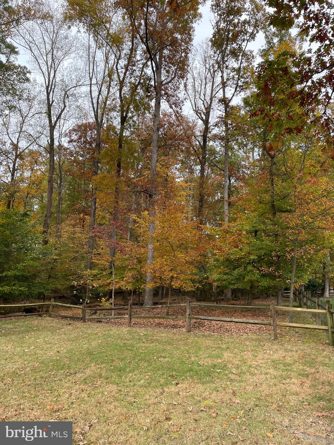 12060 WILLOWOOD DRIVE