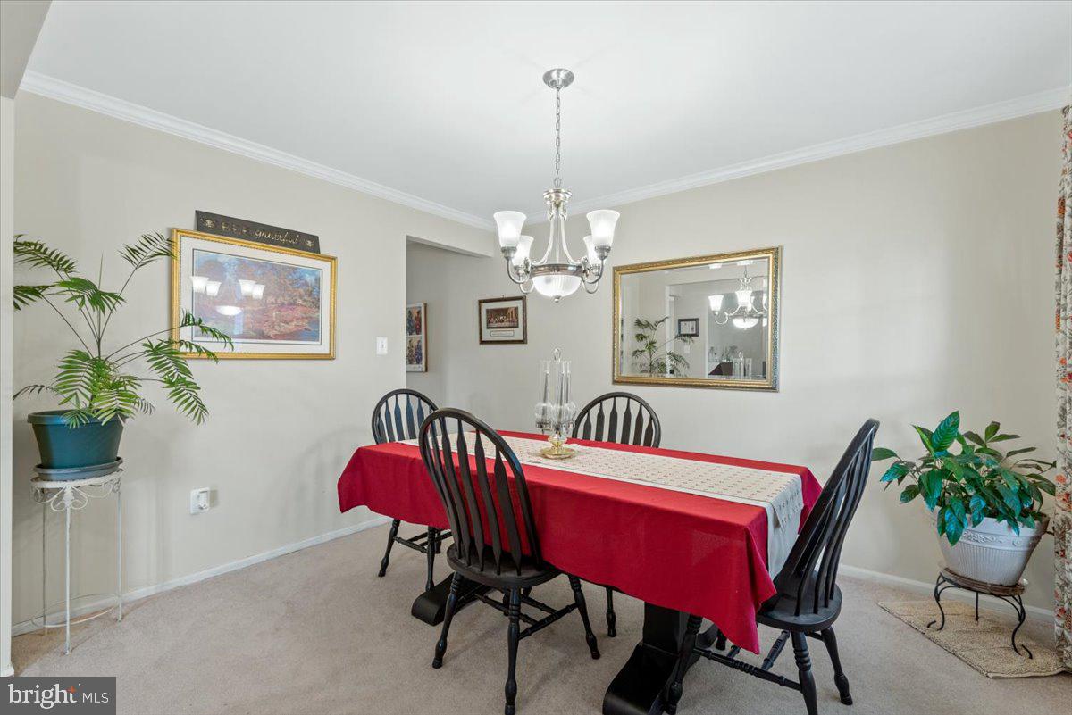 STRATFORD PLACE - Residential