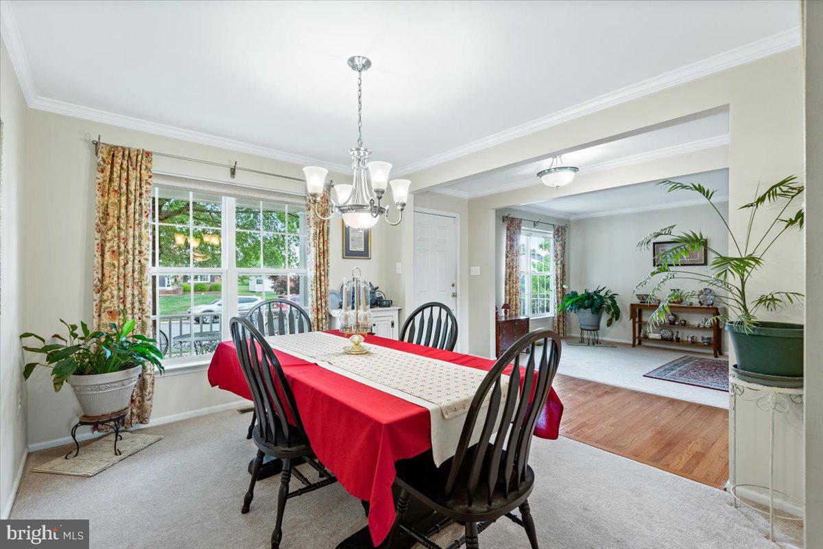 STRATFORD PLACE - Residential