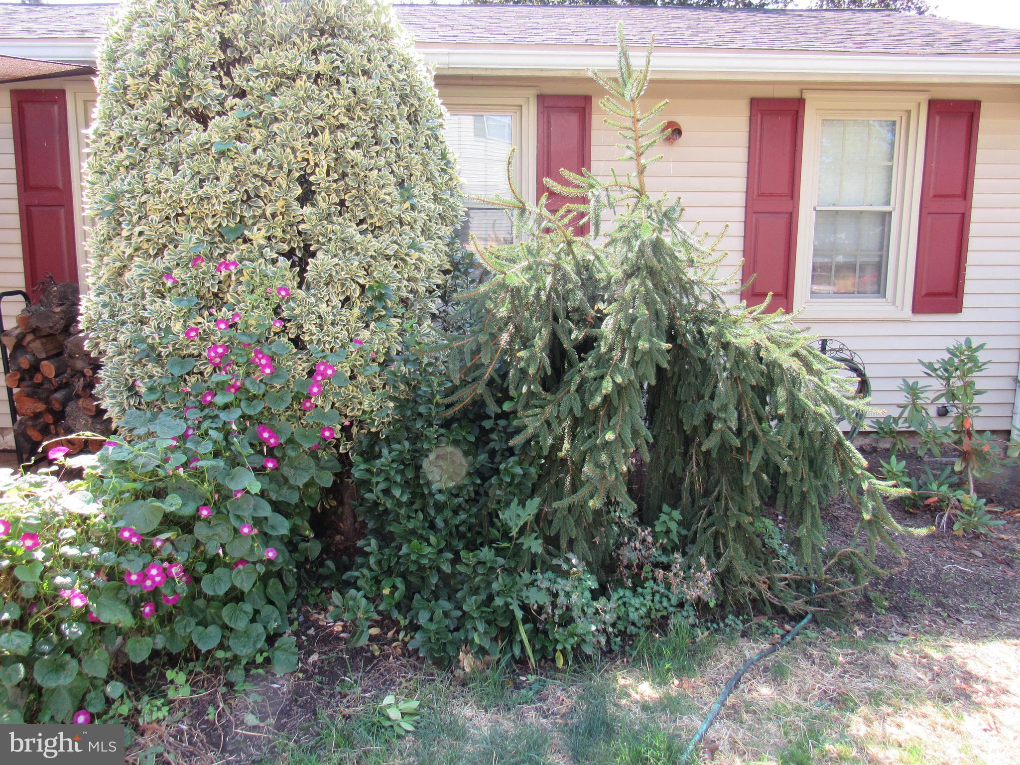 ROSEDALE - Residential