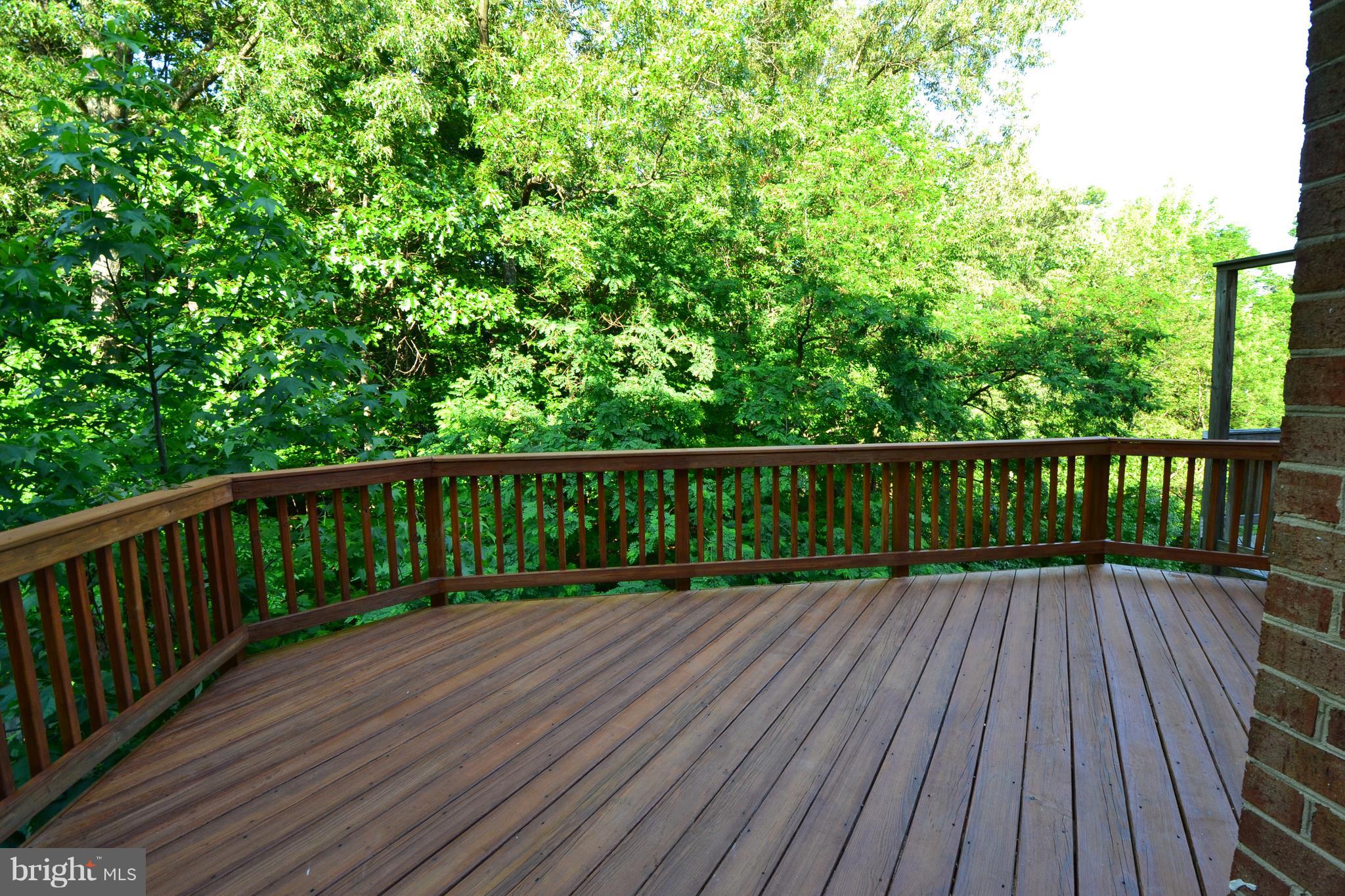 THE TIMBERS - Residential Lease