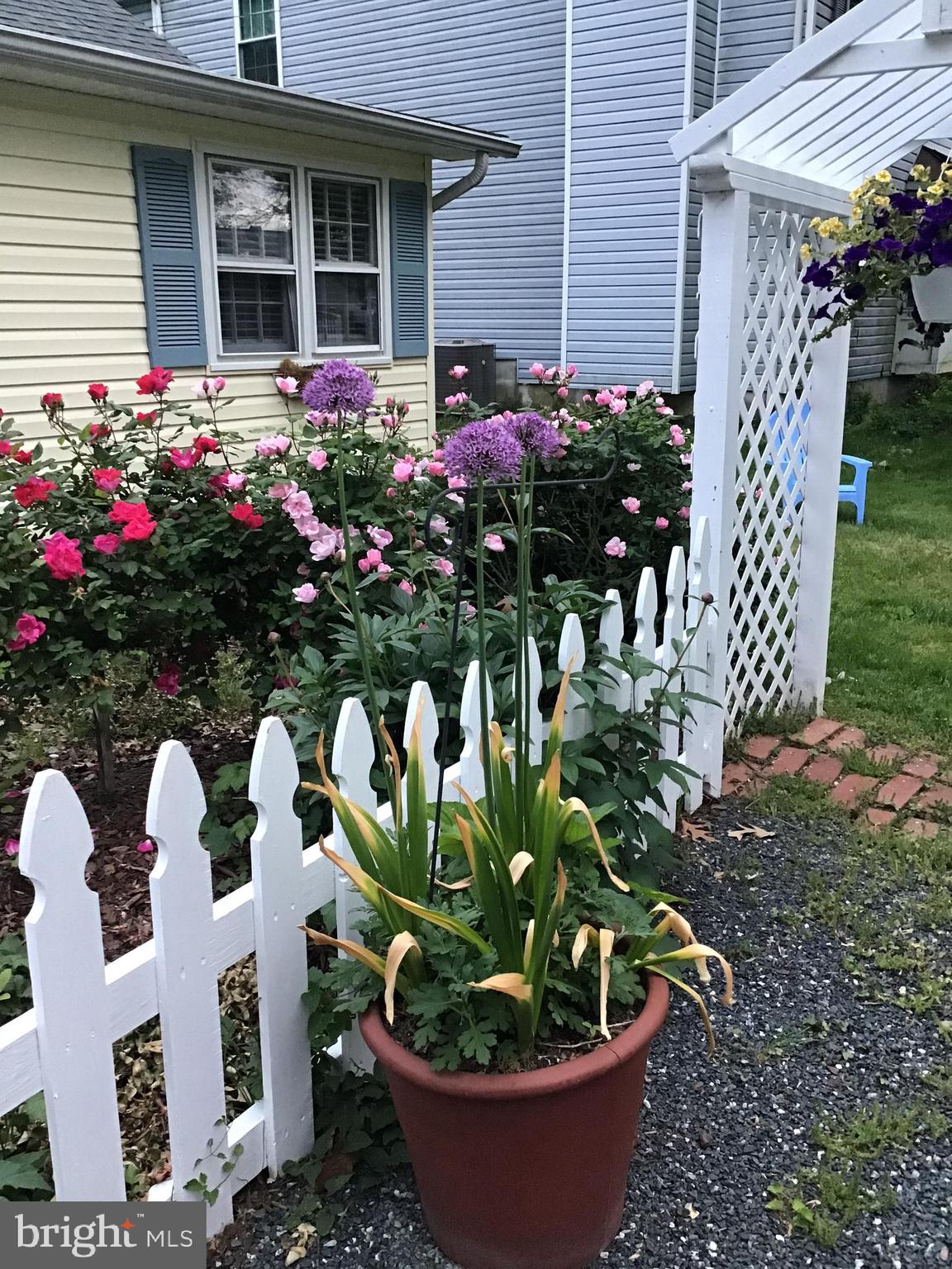 AVALON SHORES - Residential