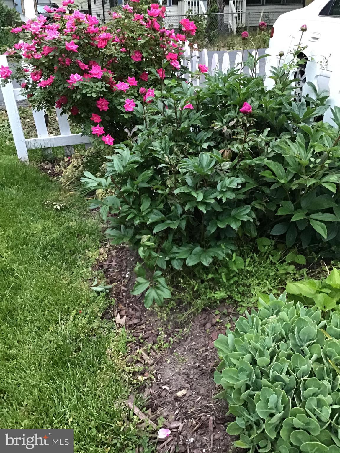 AVALON SHORES - Residential