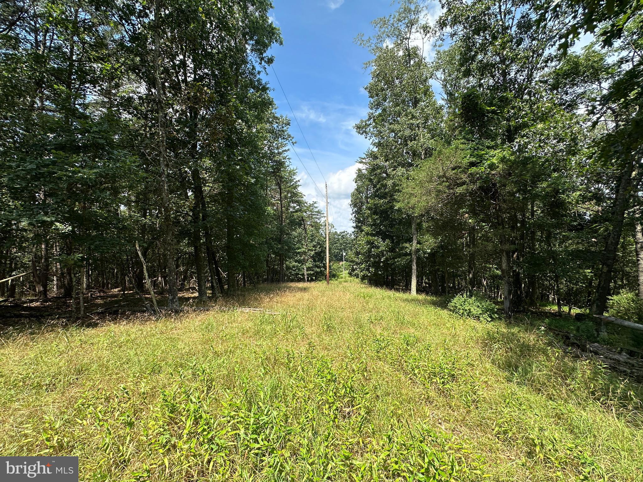 9 ACRES ON FALLS ROAD