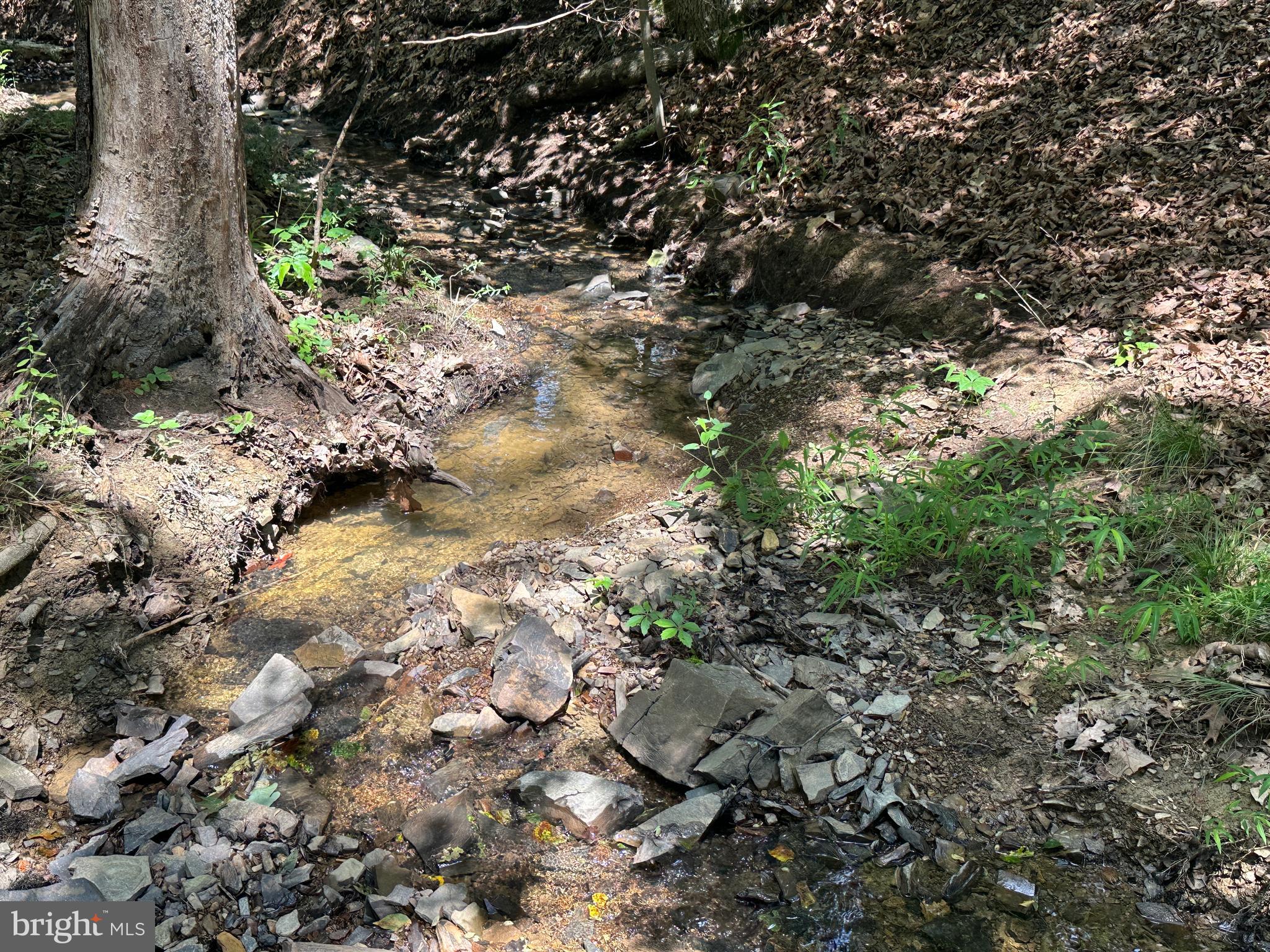 NONE AVAILABLE - Land