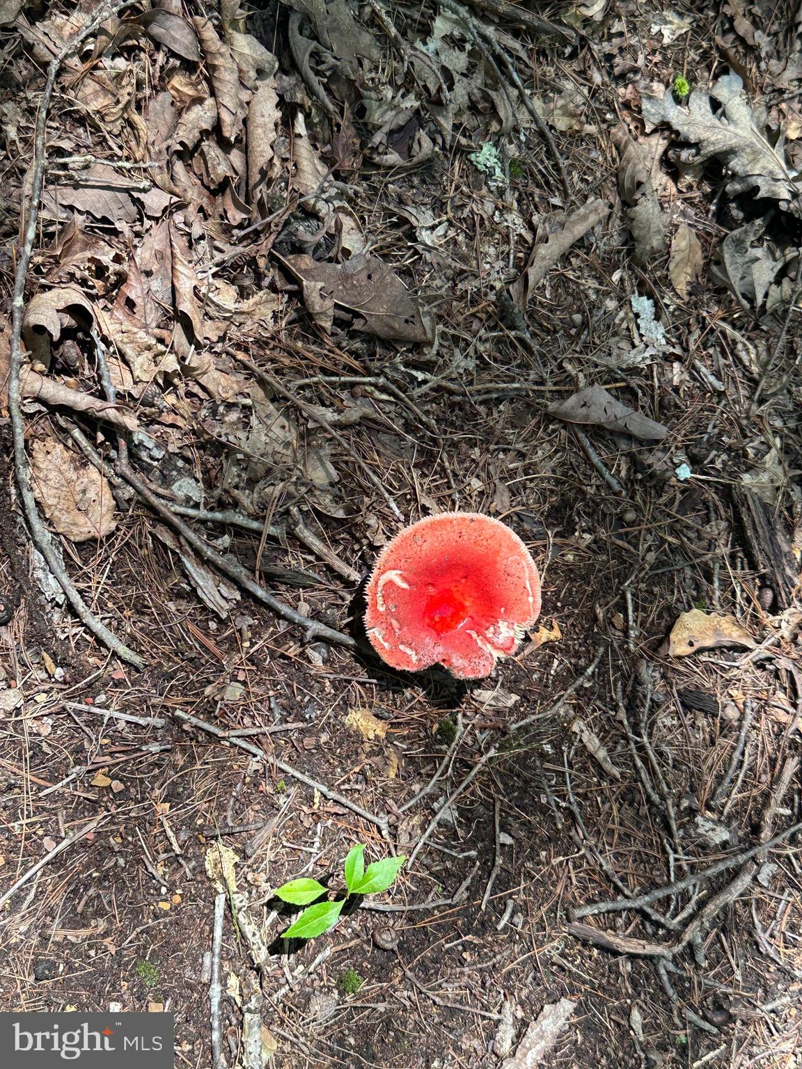 NONE AVAILABLE - Land