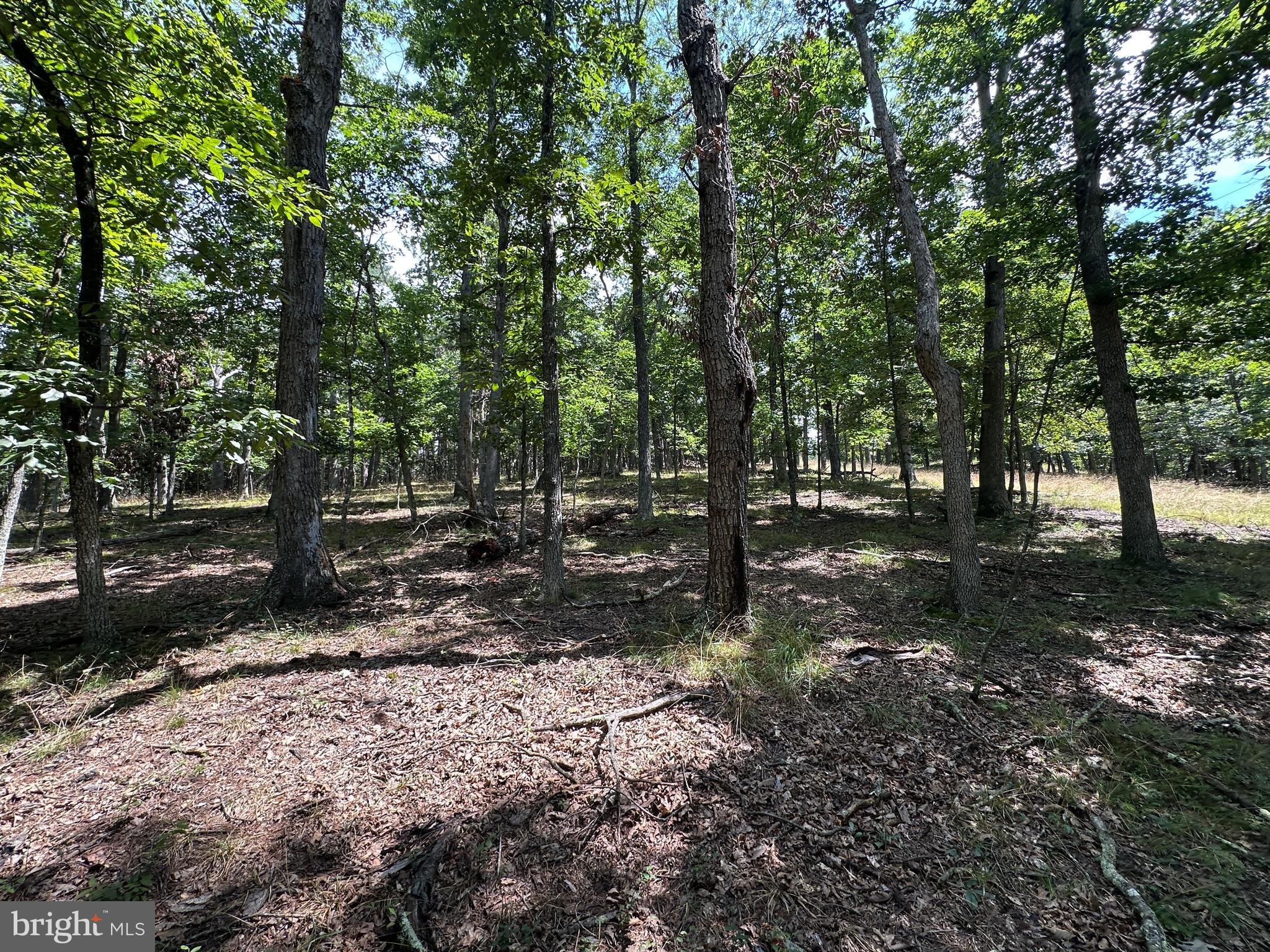 NONE AVAILABLE - Land