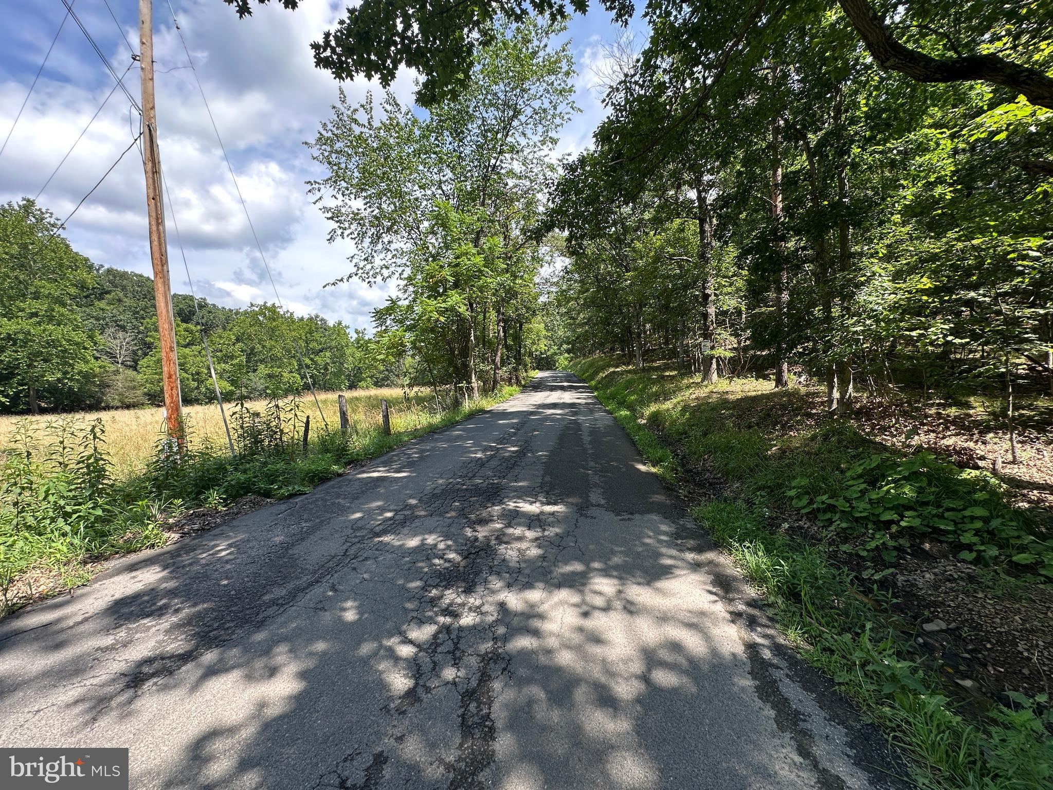 9 ACRES ON FALLS ROAD
