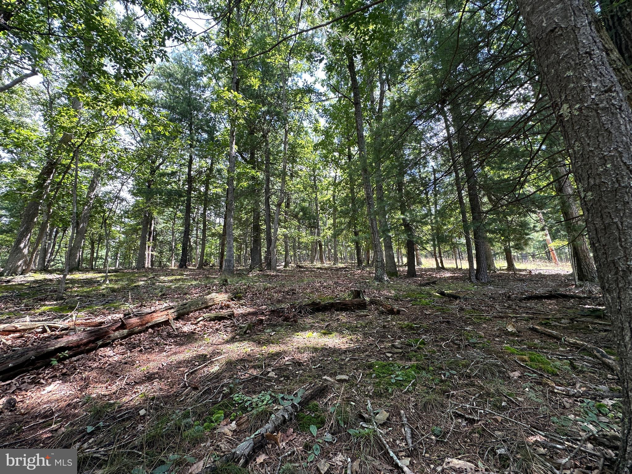 NONE AVAILABLE - Land