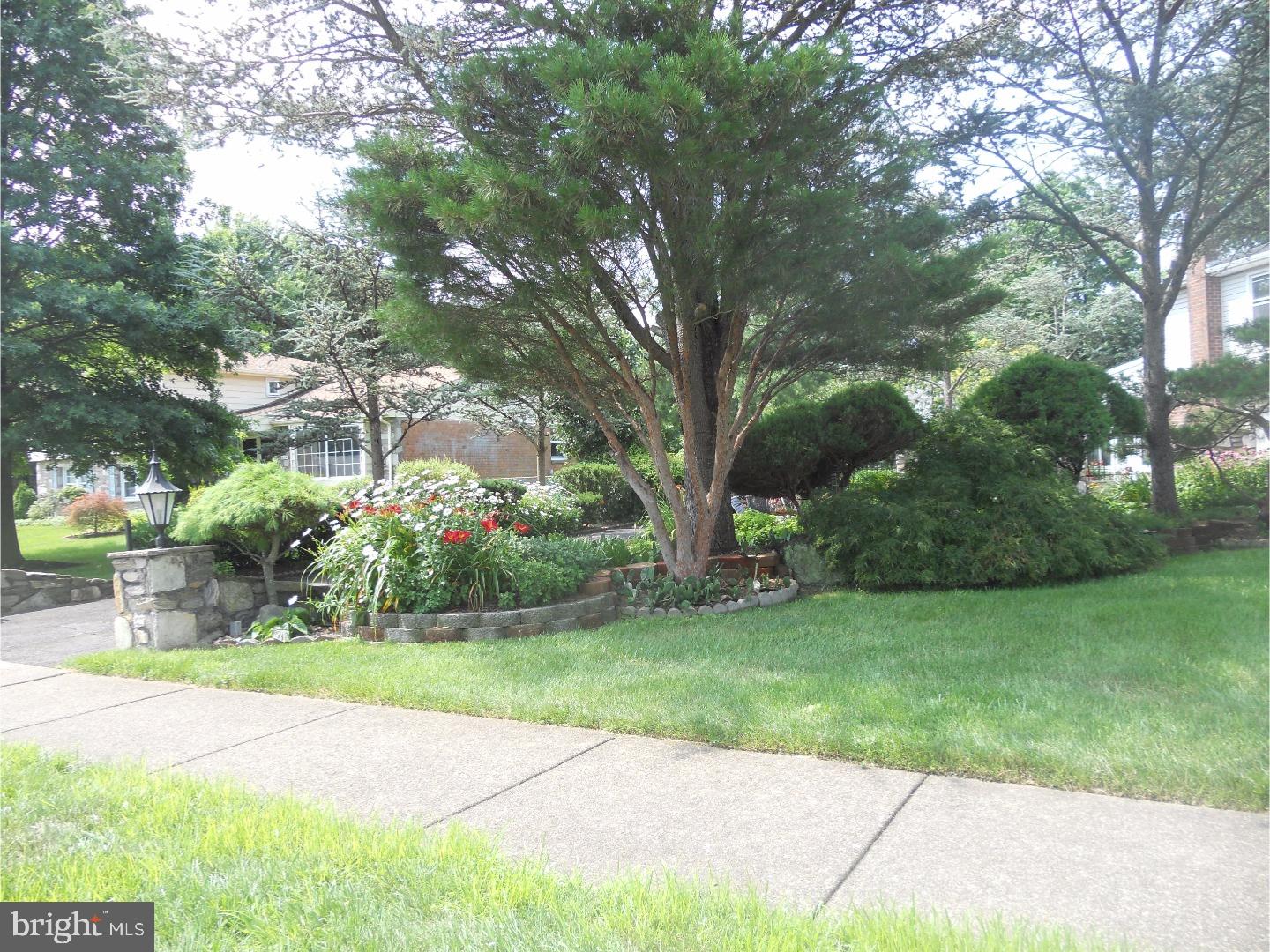 ALBIDALE - Residential