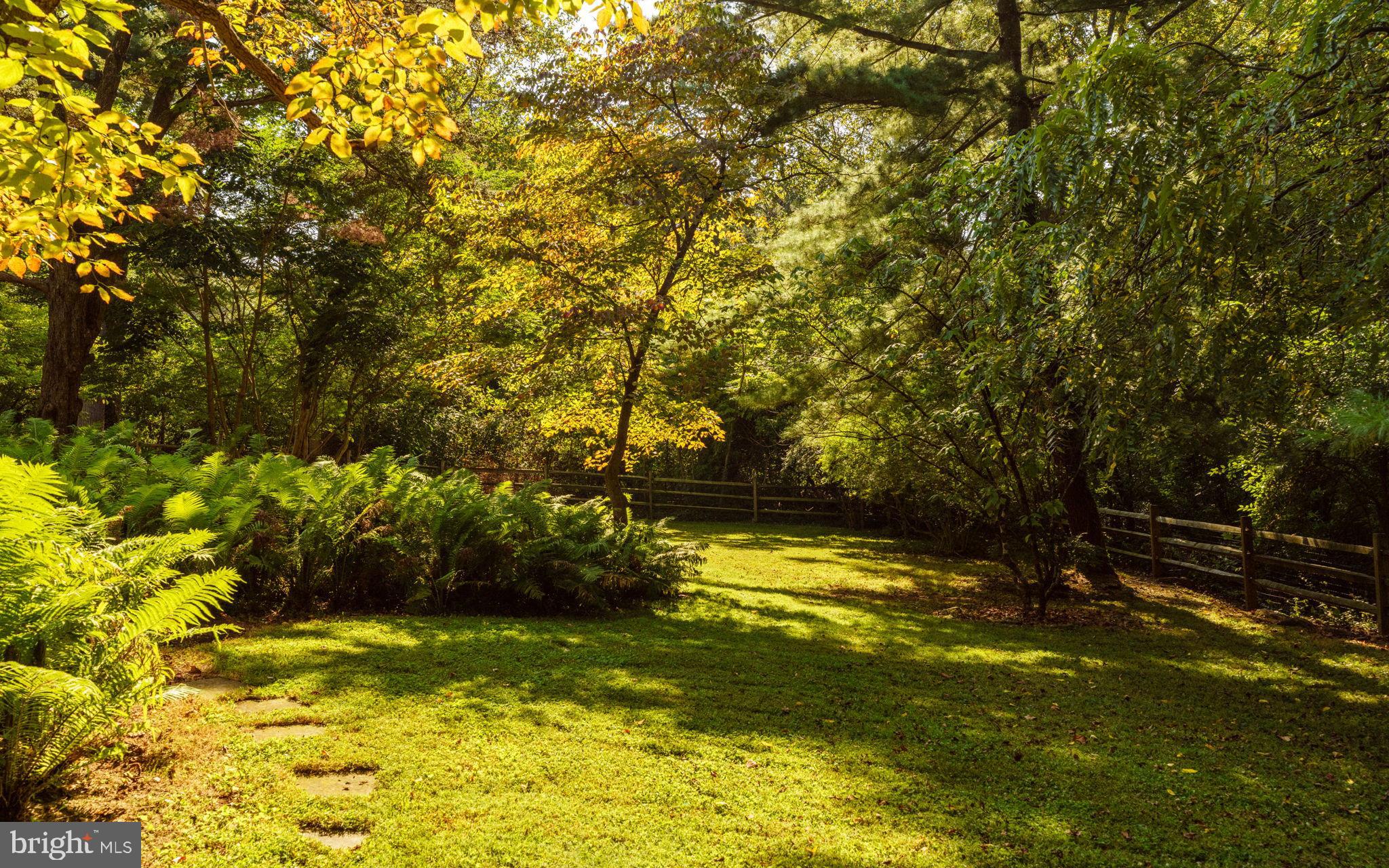 MT AIRY (WEST) - Residential