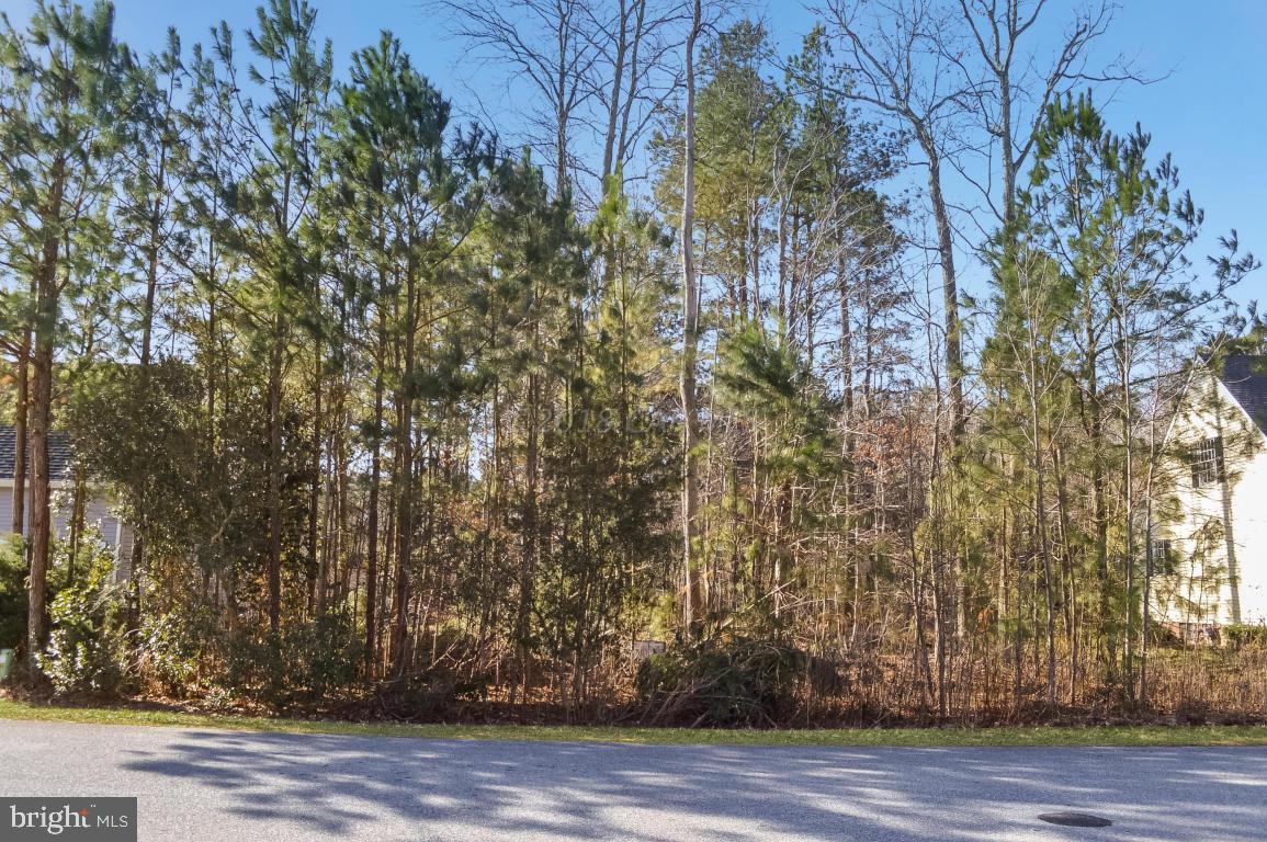 OCEAN PINES - COLONIAL VILLAGE - Land