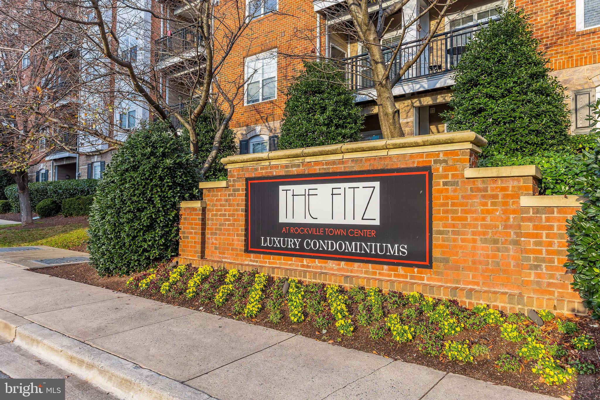 THE FITZ - Residential
