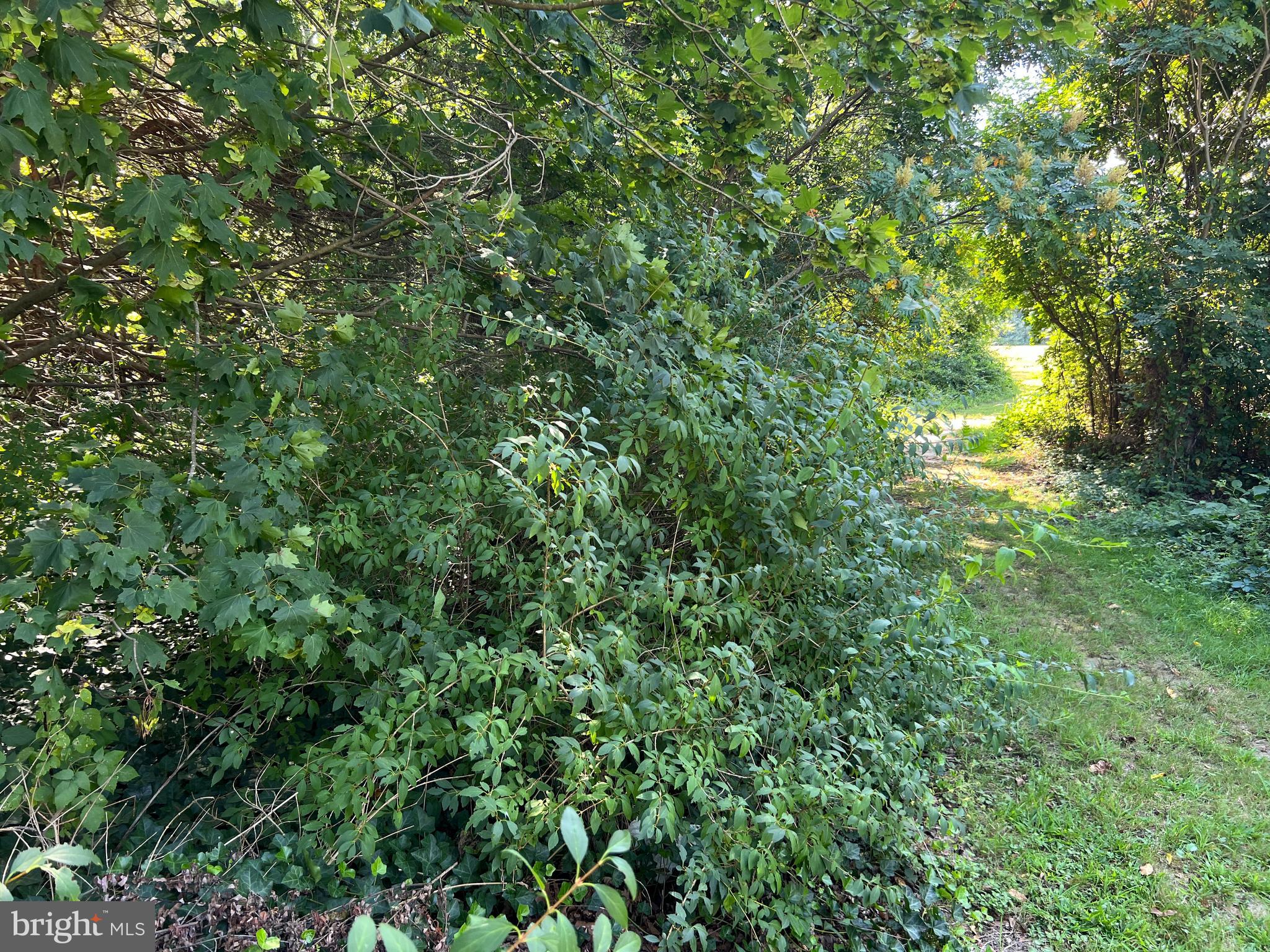 00 FAIRTON MILLVILLE ROAD