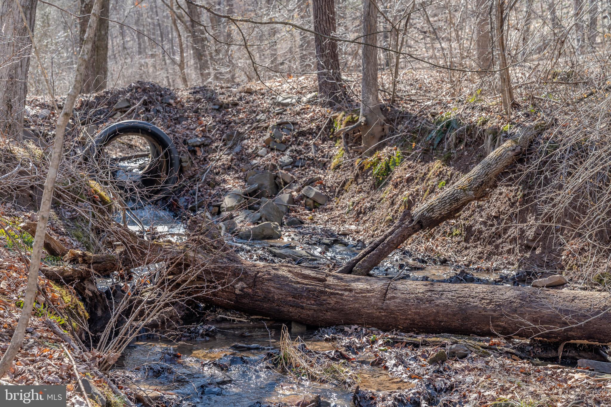 NEWPORT - Residential