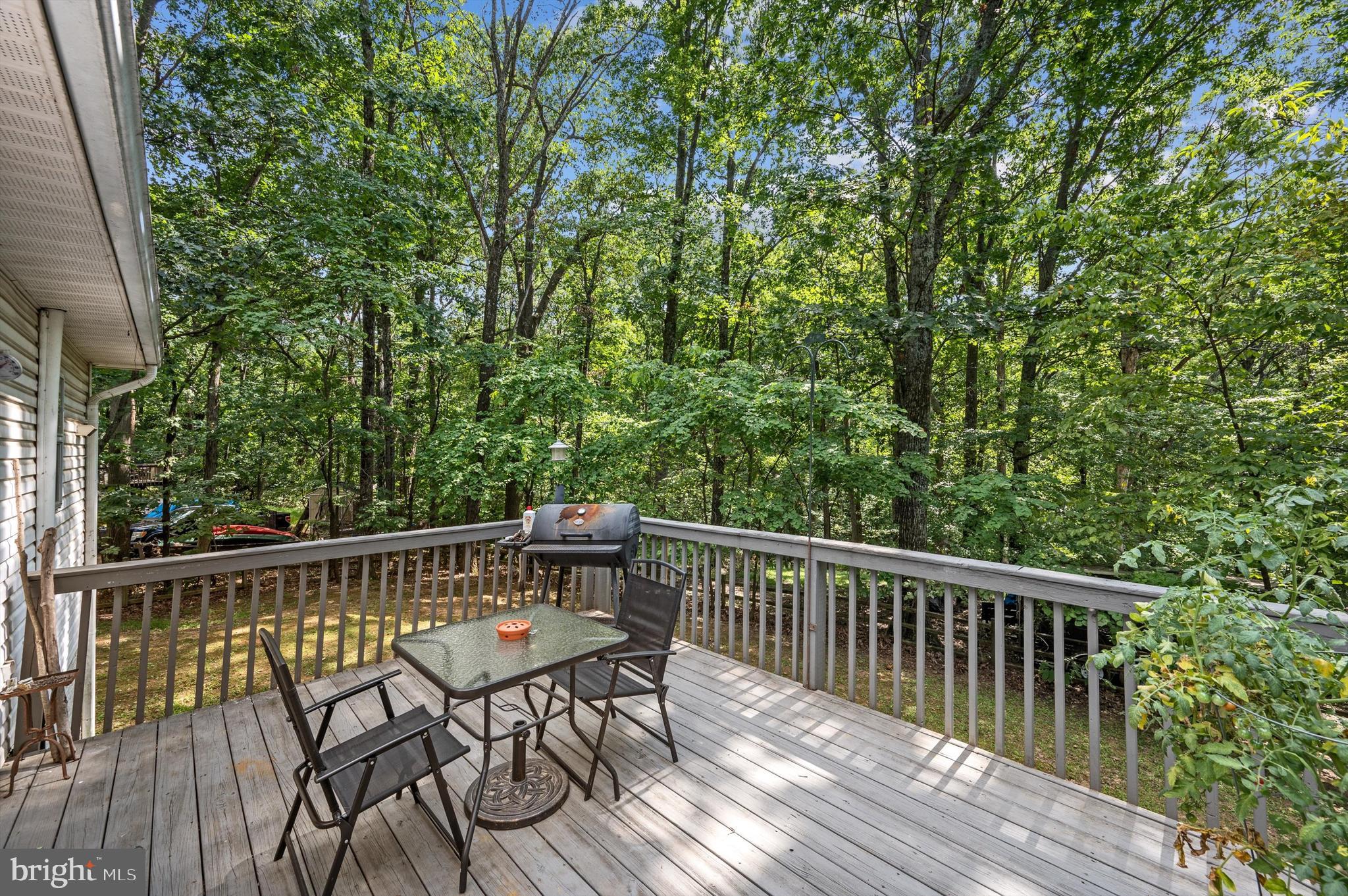 BLUE RIDGE ACRES - Residential